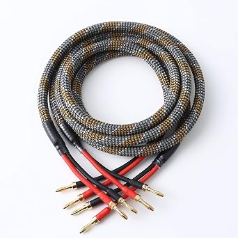 1 Pair 10AWG Speaker Cable,with Gold Plated Banana Tips, Oxygen Free Copper 10FT