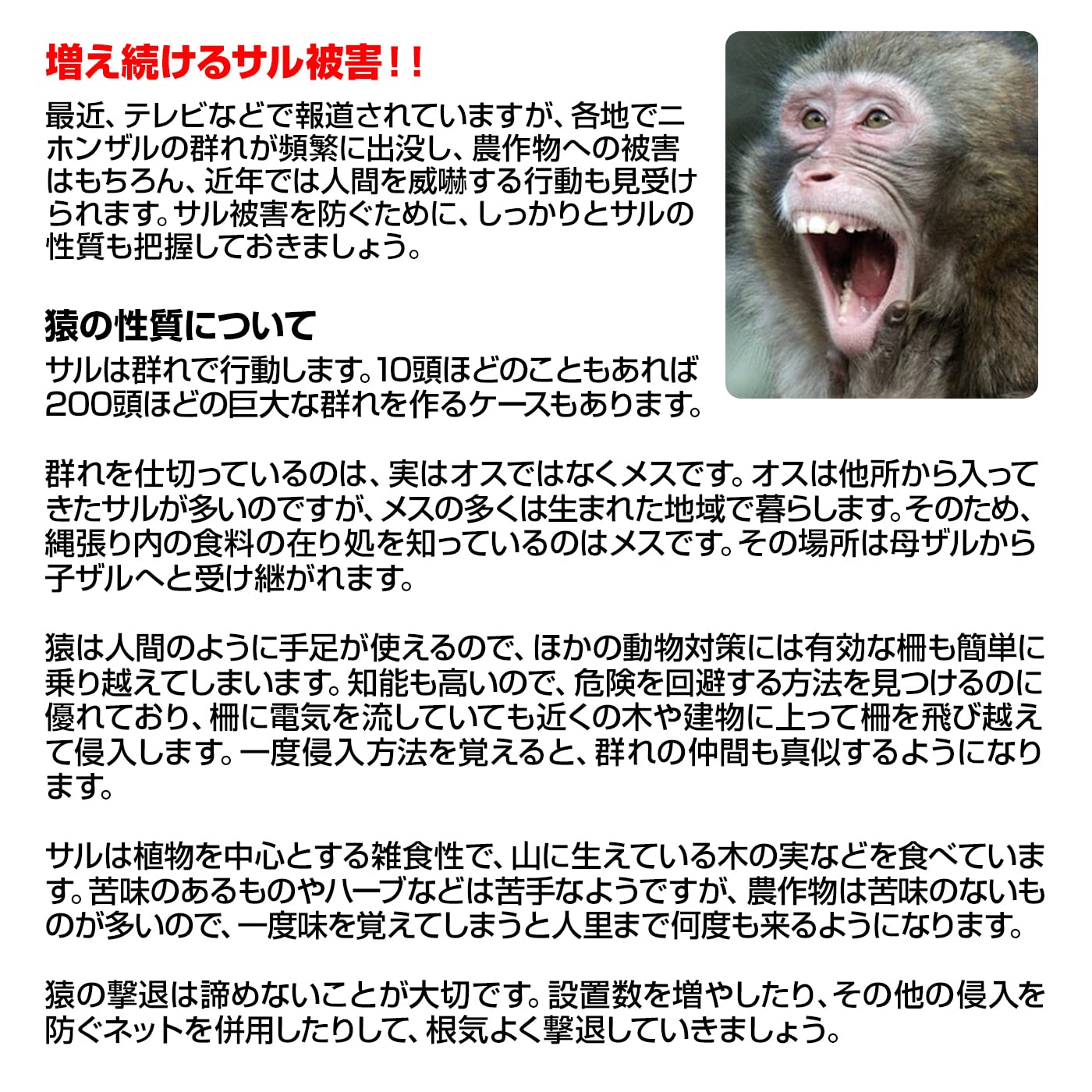 Amazon | 撃退サル激臭シート 50個入 激辛臭が約2倍の強力タイプ 猿 
