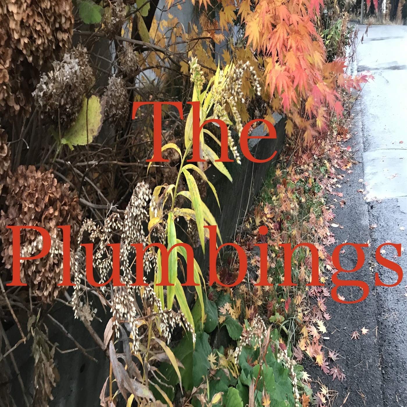 The Plumbings