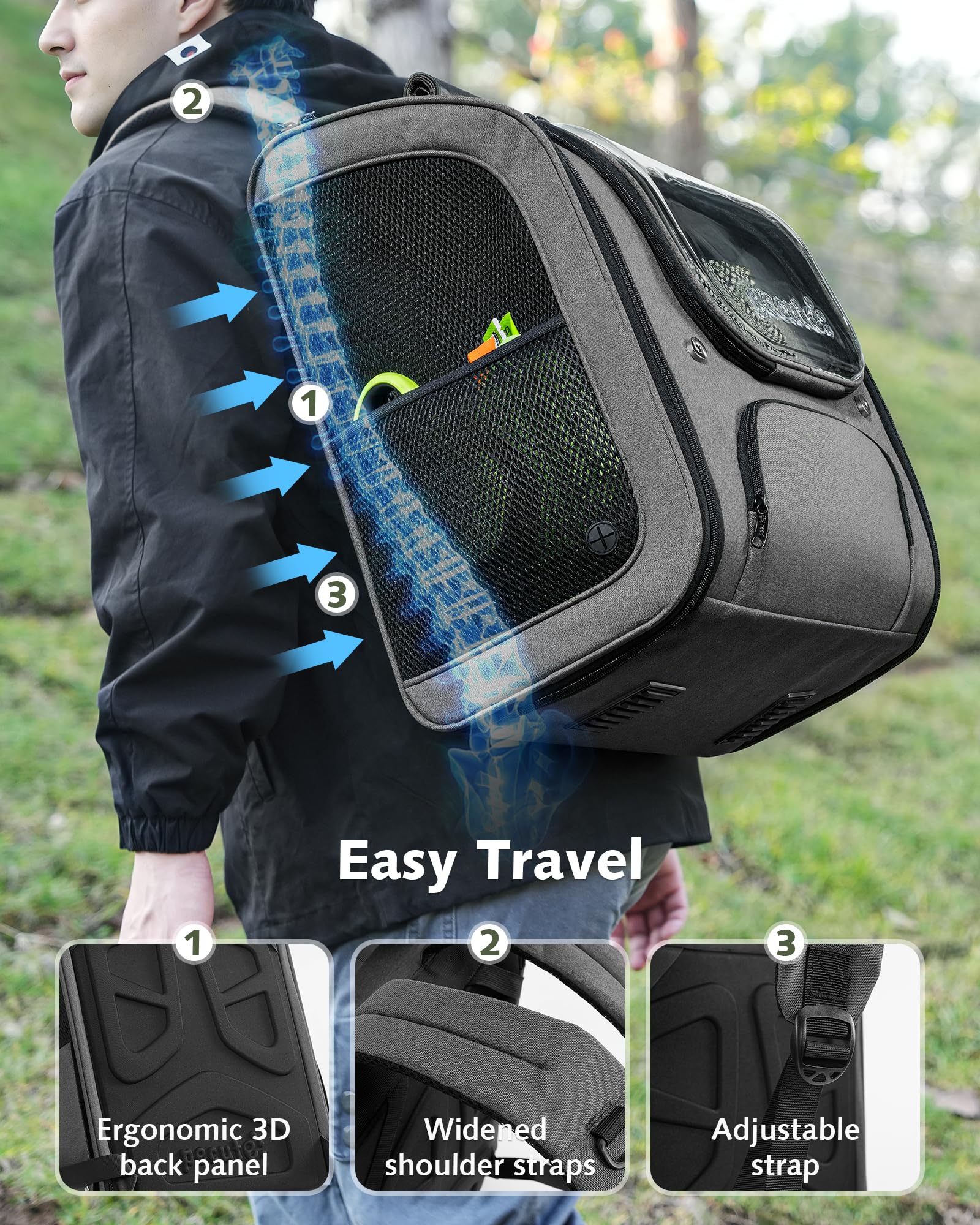 https://m.media-amazon.com/images/I/81zc-sNlFWL.jpg