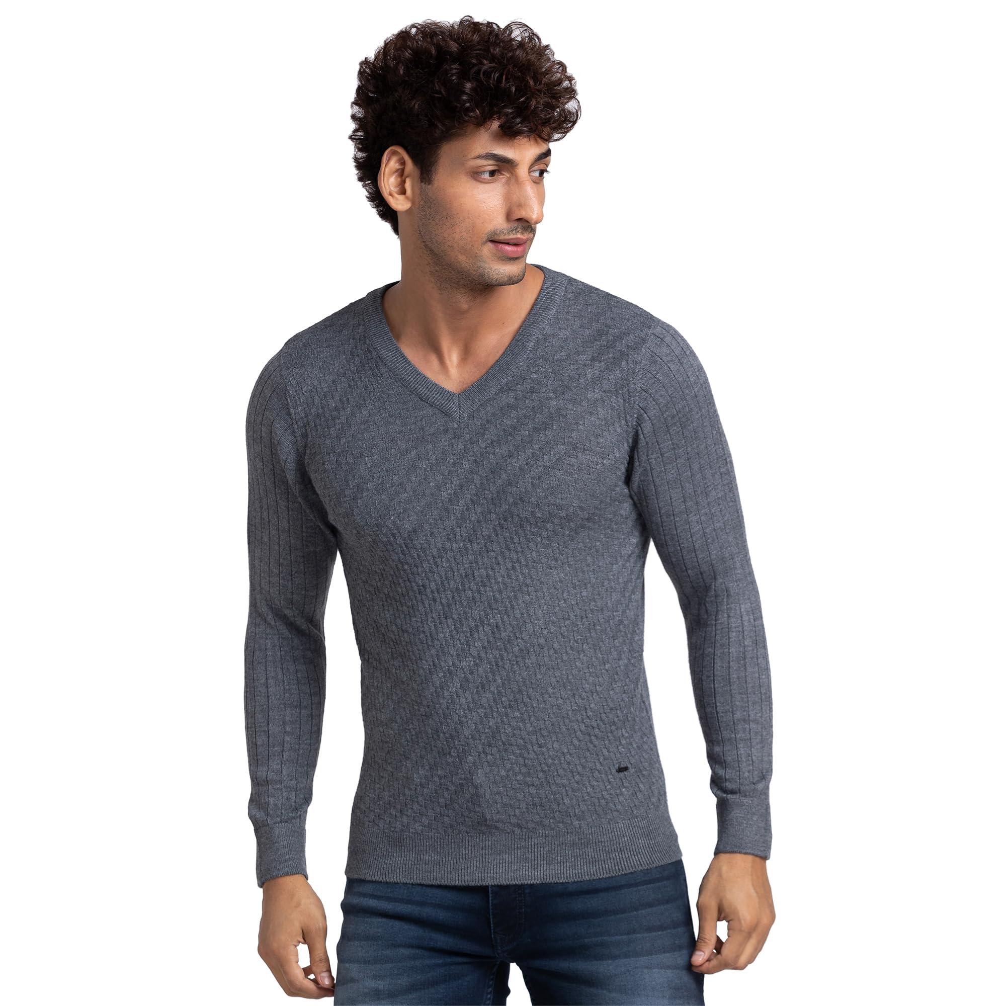 parx Men Regular Fit Jacquard Pattern Pure Acrylic Full Sleeve V Neck Casual Sweater-picture-45