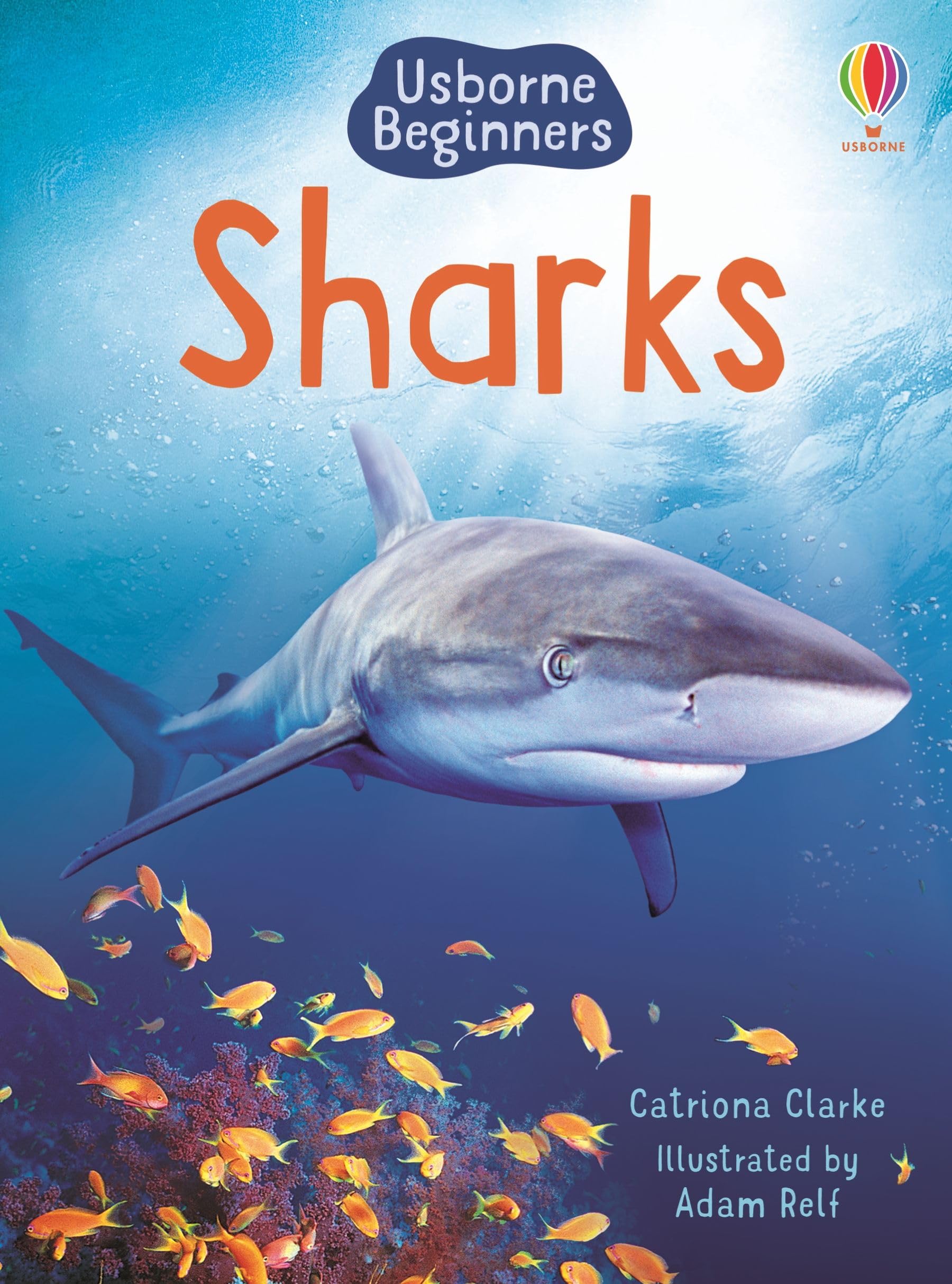 Sharks (Usborne Beginners) (Beginners Series)