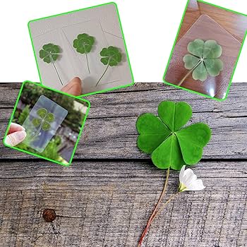 clover*‪ஐ様 リクエスト 4点 まとめ商品 I・E・I SELECTION 幸せのうさぎと四つ葉のクローバー金貨 純金