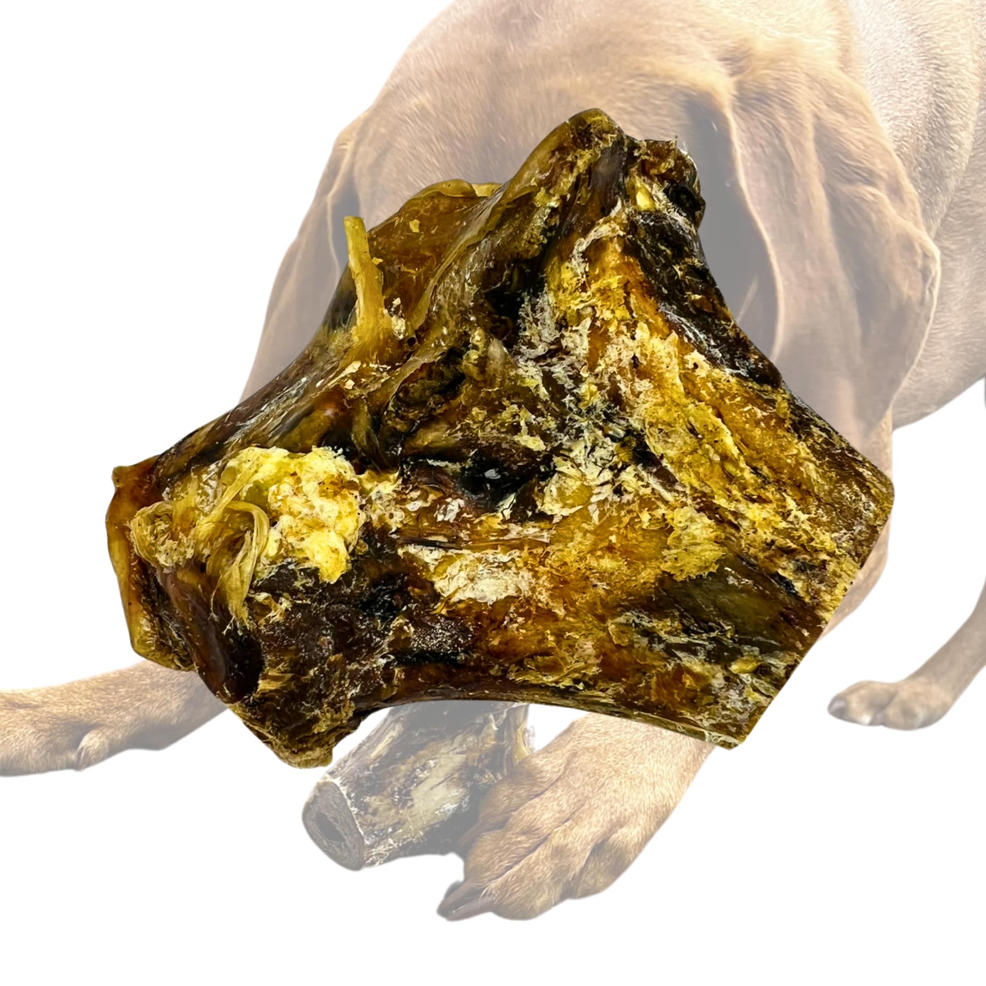 Premium Ostrich KNUCKLE Bone Dog Chew: All-Natural, Long-Lasting Treat by Pawstrading - Top Choice for Happy Dogs!