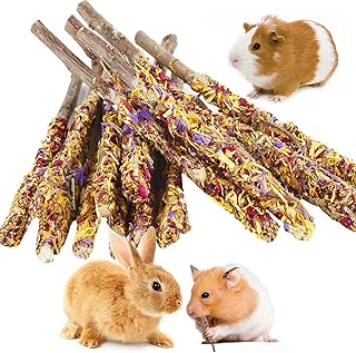 Abizoo Bunny Chew Toys for Rabbits,18PCS Natural Apple Wood Sticks with Petals Good for Chinchillas Guinea Pig Hamster Teeth Care, Bunny Small Pet Treats Teething Toys| Natural Organic Safe