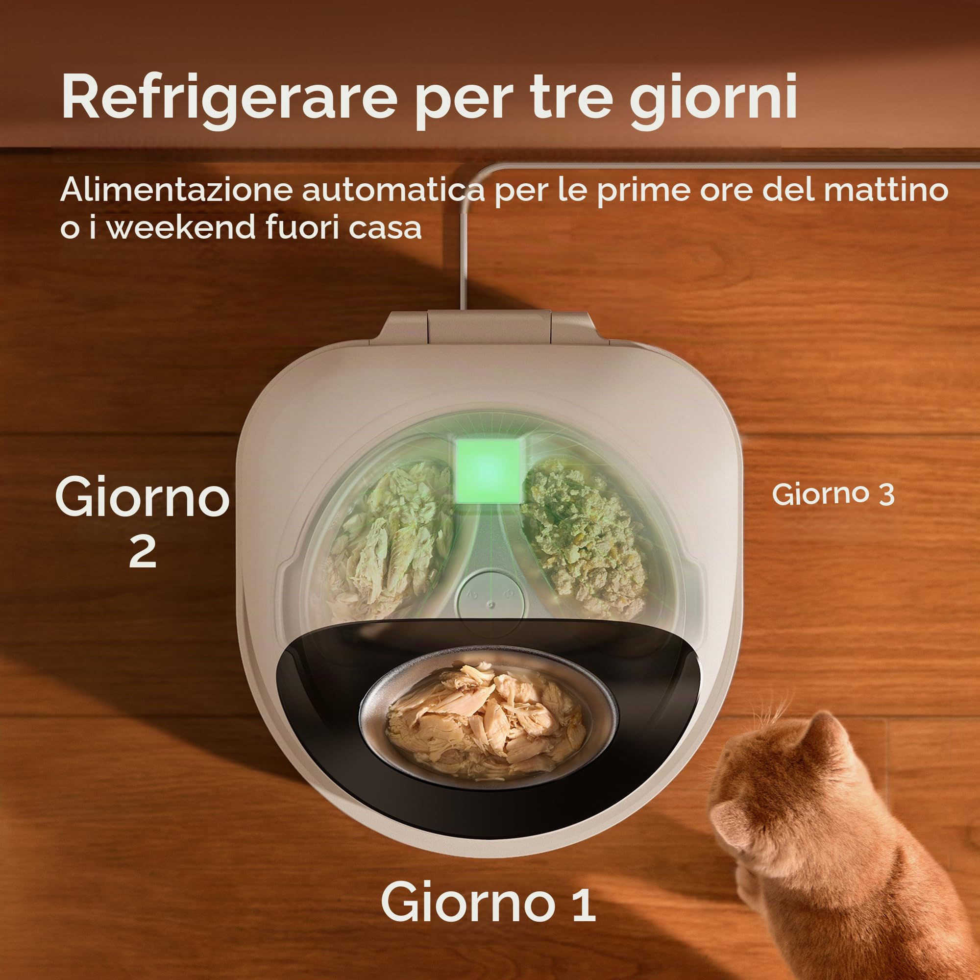 PETLIBRO Mangiatoia automatica per gatti umidi con refrigerazione, dispenser di cibo per gatti controllato da app, con raffreddamento a semiconduttore, 3 pasti freschi fino a 3 giorni, ciotola in