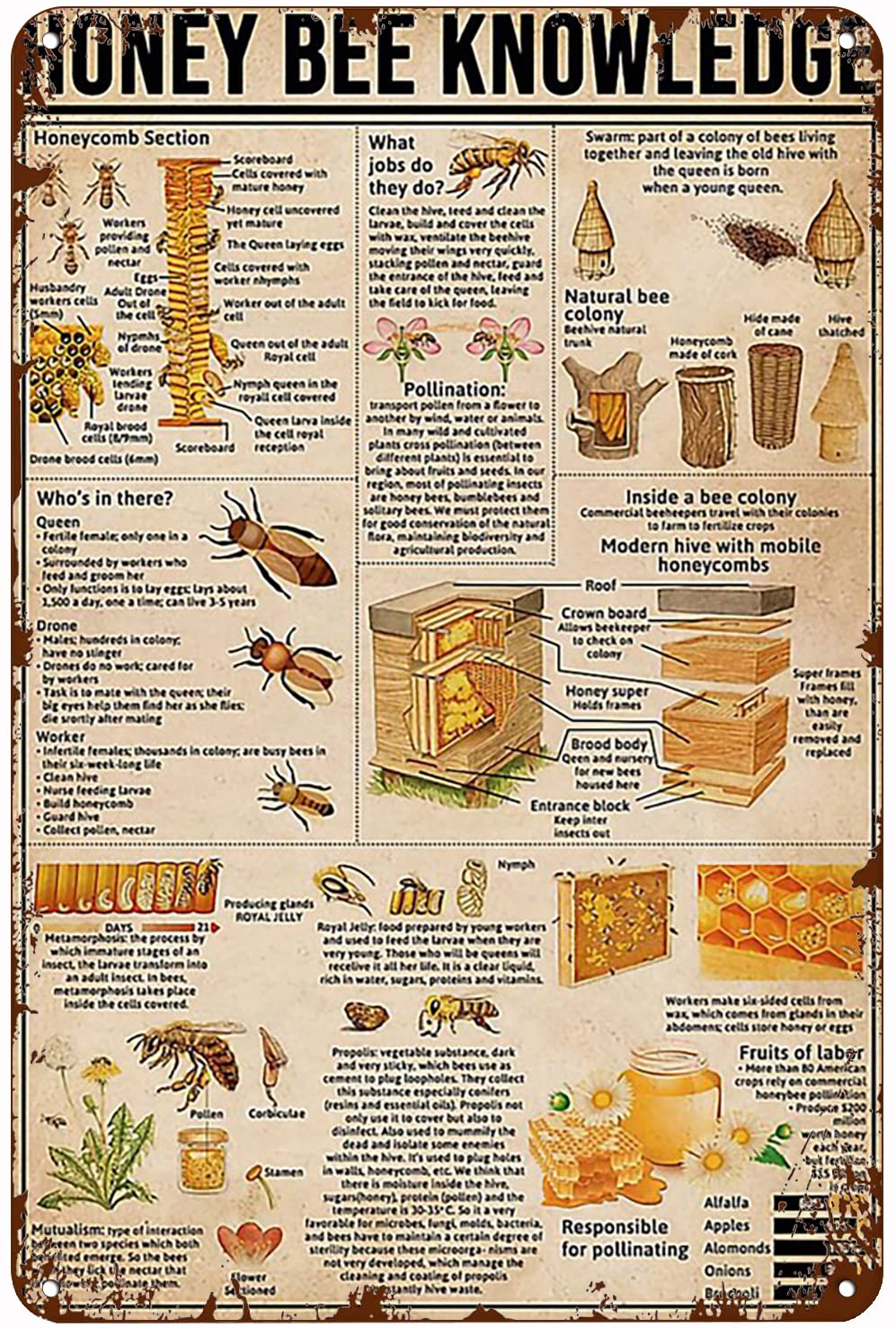 AZOLID Vintage Metal Tin Signs Honey Bee Knowledge Tin Signs Vintage Funny Bar Club Cave Home Kitchen Wall Decor 30X20CM