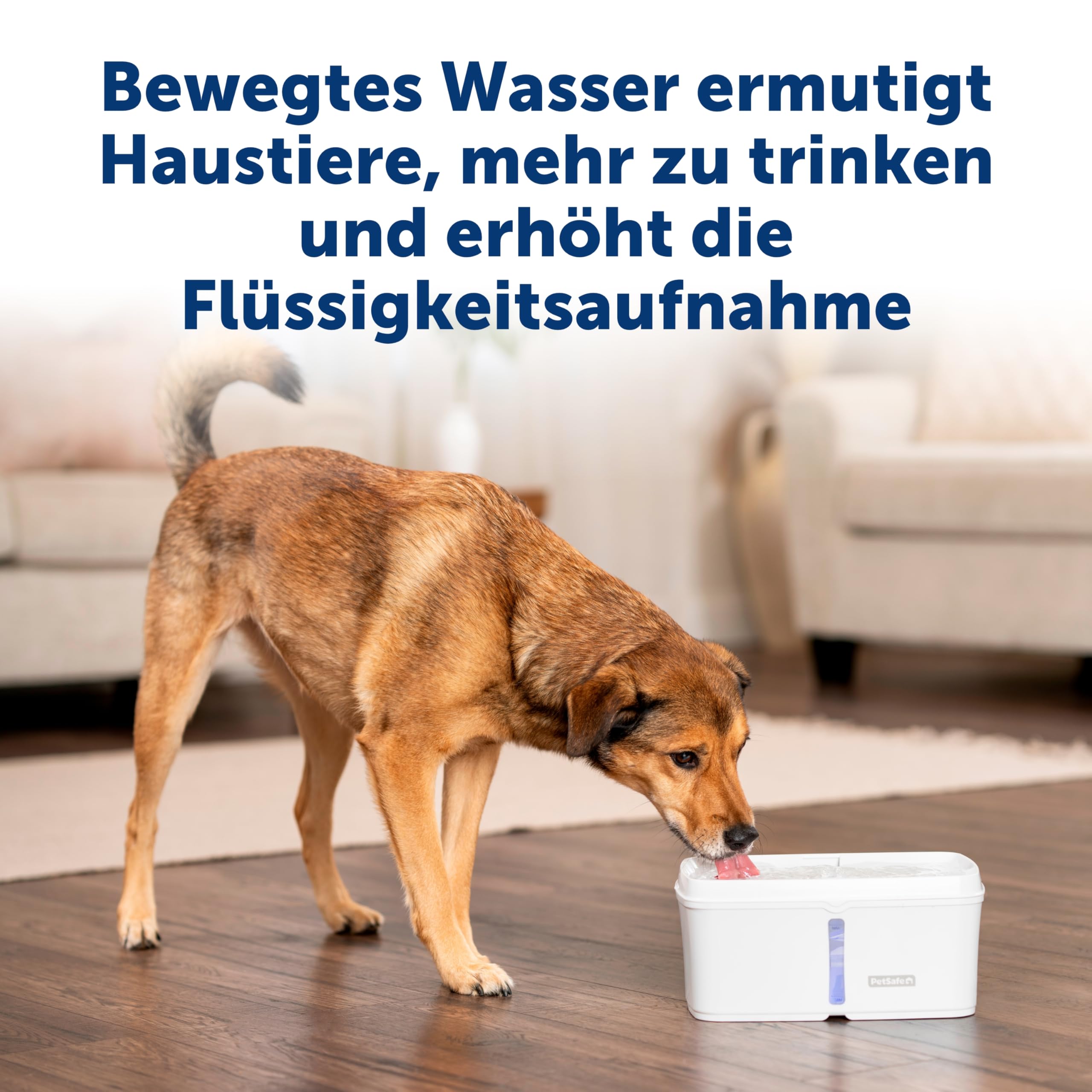 PetSafe Viva Trinkbrunnen für Katzen und kleine Hunde – 4,1 l/140oz, Trinkbrunnen für Katzen für den Innenbereich mit extrem leiser Pumpe, spülmaschinenfest, leichte Reinigung, Wasserfilter enthalten