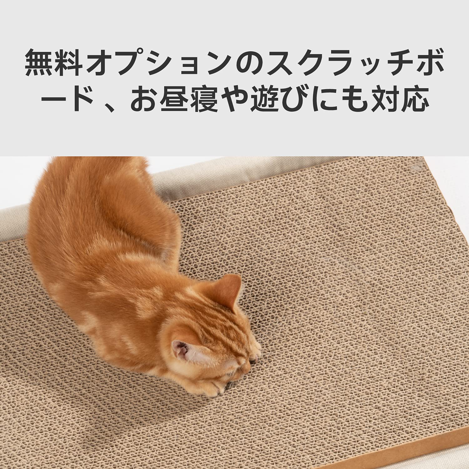 Amazon.co.jp: pidan 猫 ベッド ペットベッド レクタングル 洗える