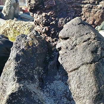 Amazon.co.jp: 鳥海石408キロ庭石鑑賞石石盆石水石灯籠庭坪庭