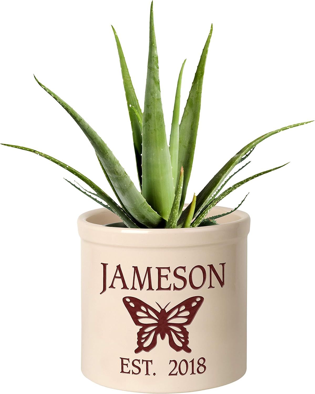 Personalized 2 Gallon Crock Pot with butterfly design