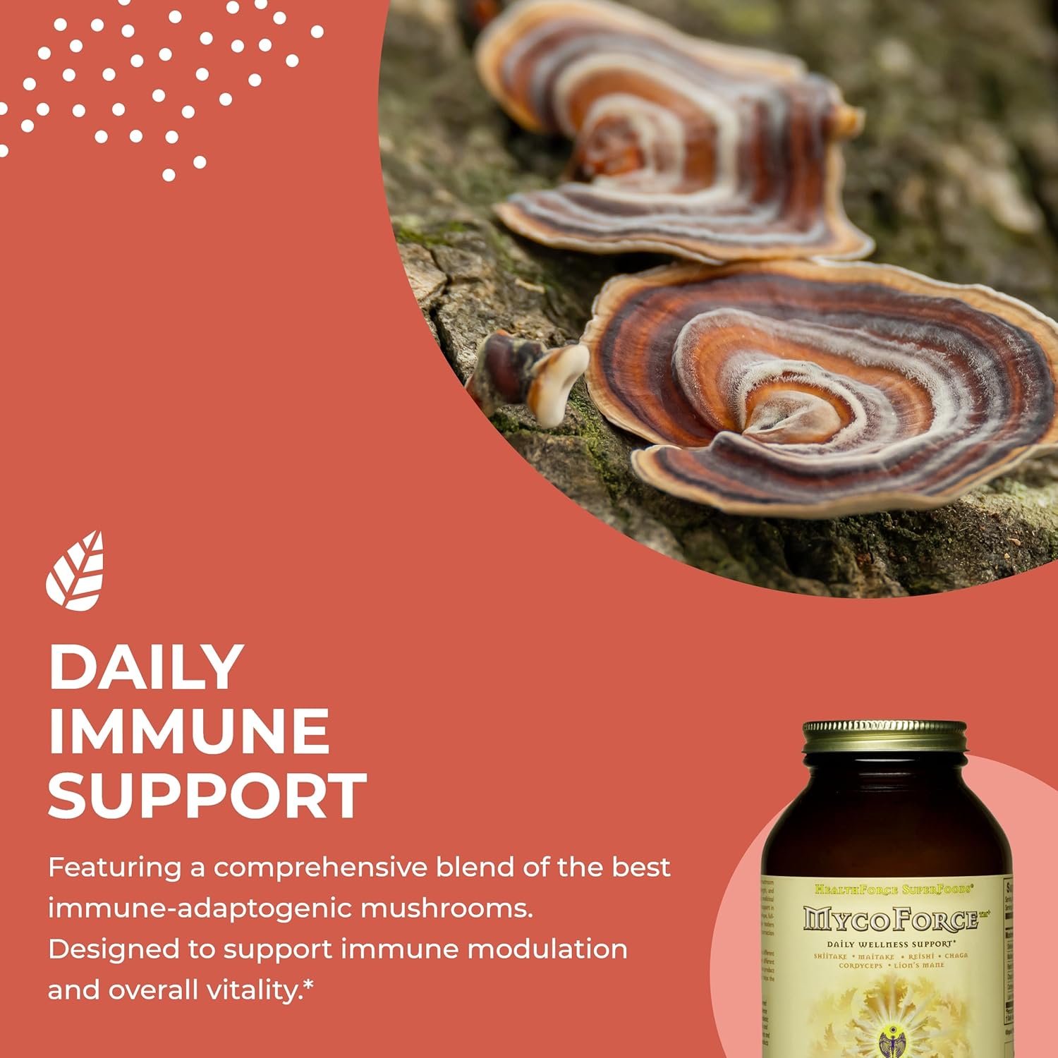 HealthForce SuperFoods MycoForce Powder - 150 Grams - Shiitake, Maitake, Reishi & Chaga Mushroom Supplement, Immune Booster - Organic, Vegan, Gluten Free - 100 Servings
