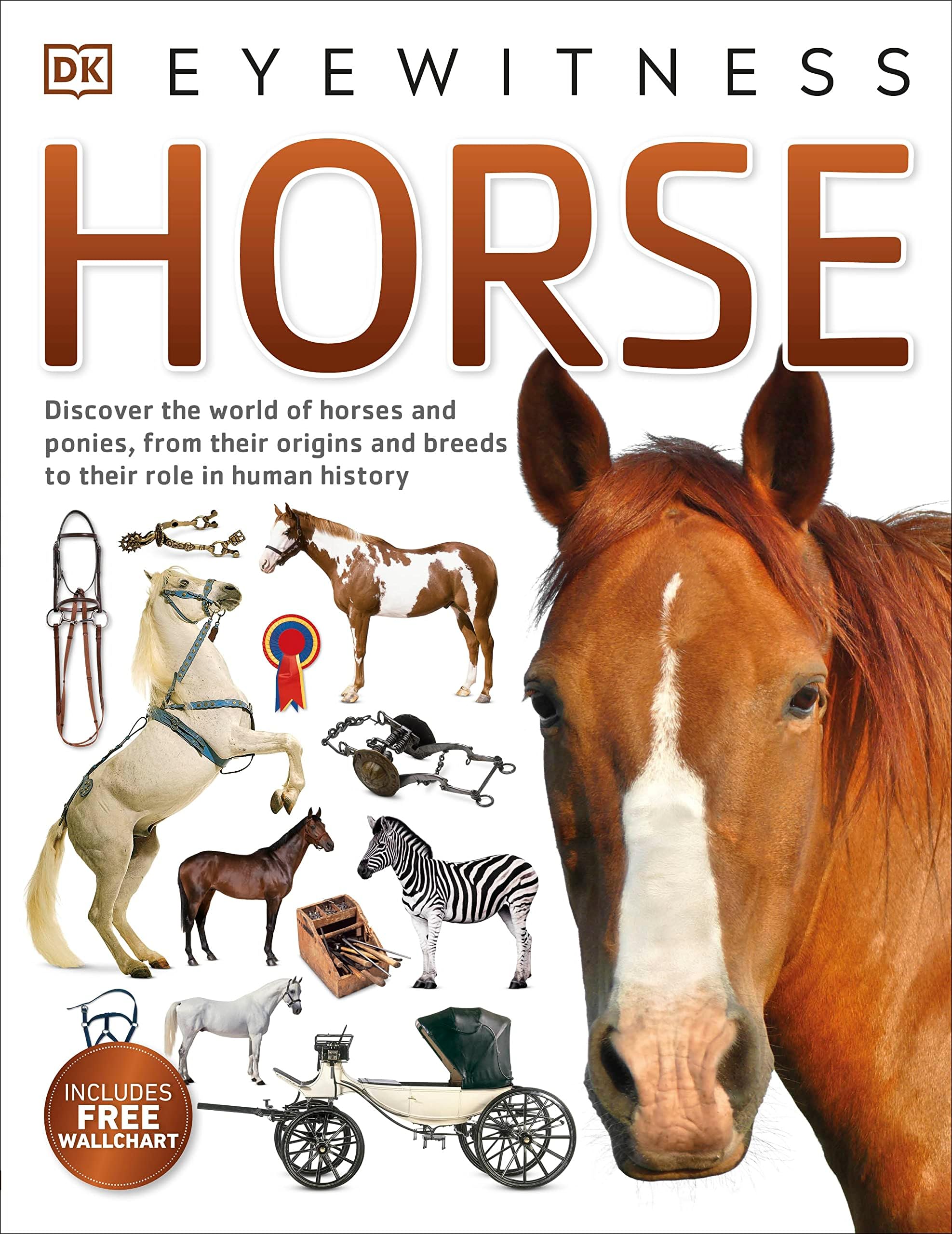 Horse (DK Eyewitness) Paperback – 1 Jun. 2016