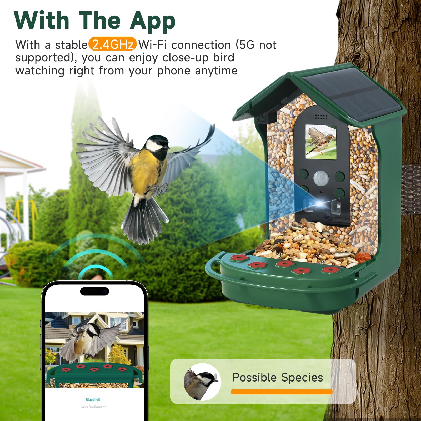 Mangeoire Oiseaux Camera, HD 1080P Intelligente Camera Nichoir avec Caméra et 5W Panneau Solaire, Nichoir Oiseaux Exterieur Caméra IP65 Etanche, Capture Automatique des Images, 32G Carte