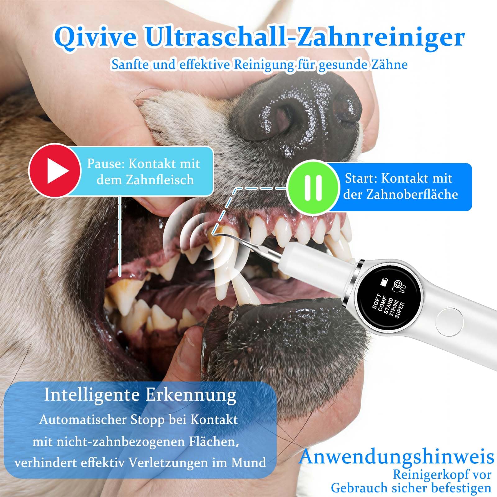 Eliminador de Sarro para Perros y Gatos, Kit Limpieza Dental Mascotas con 5 Modos, Quita Placa y Mal Aliento, Limpiador Dental Eléctrico con LED, Recargable