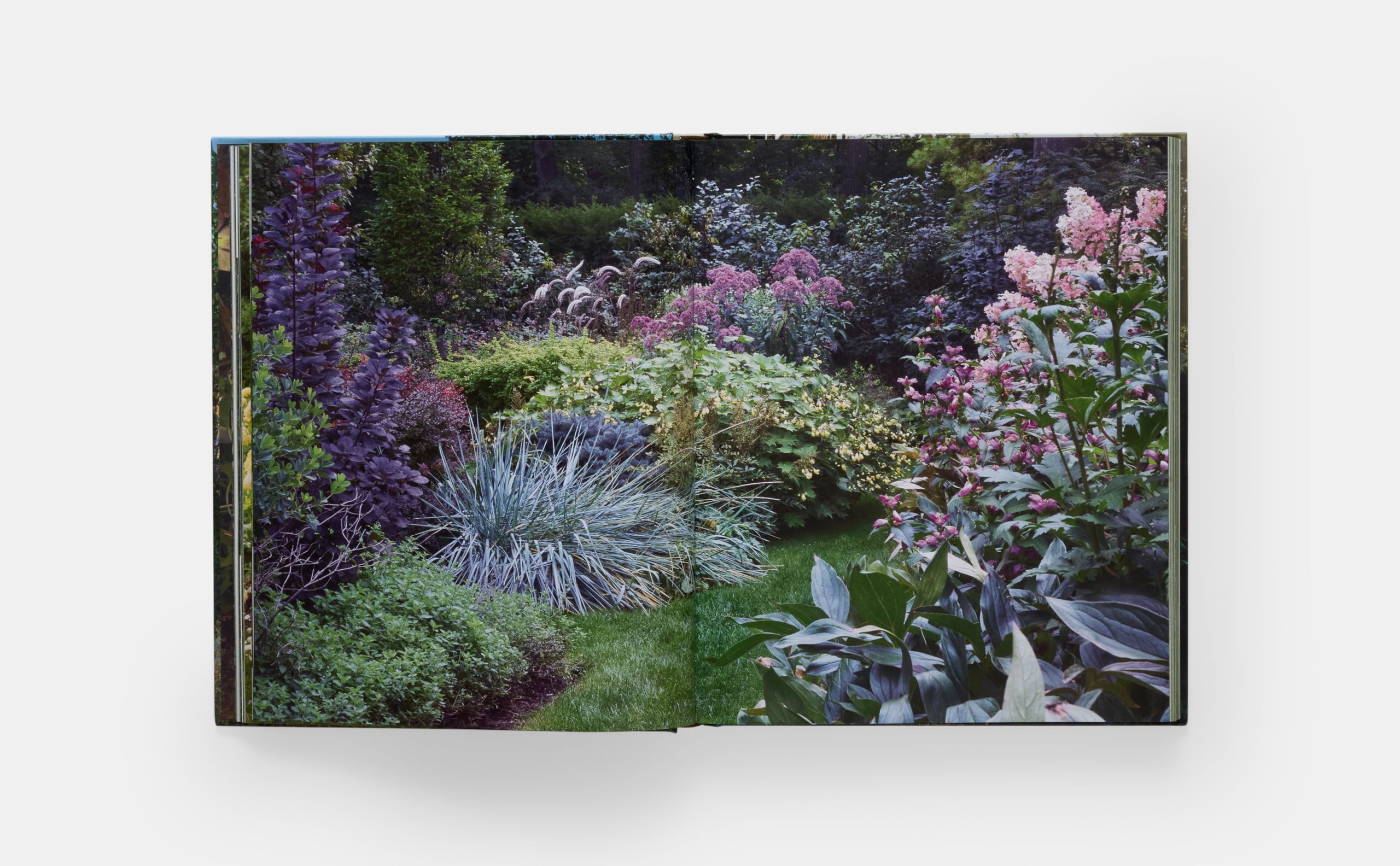 The Art of Fine Gardening: Craig Bergmann Landscape Design
