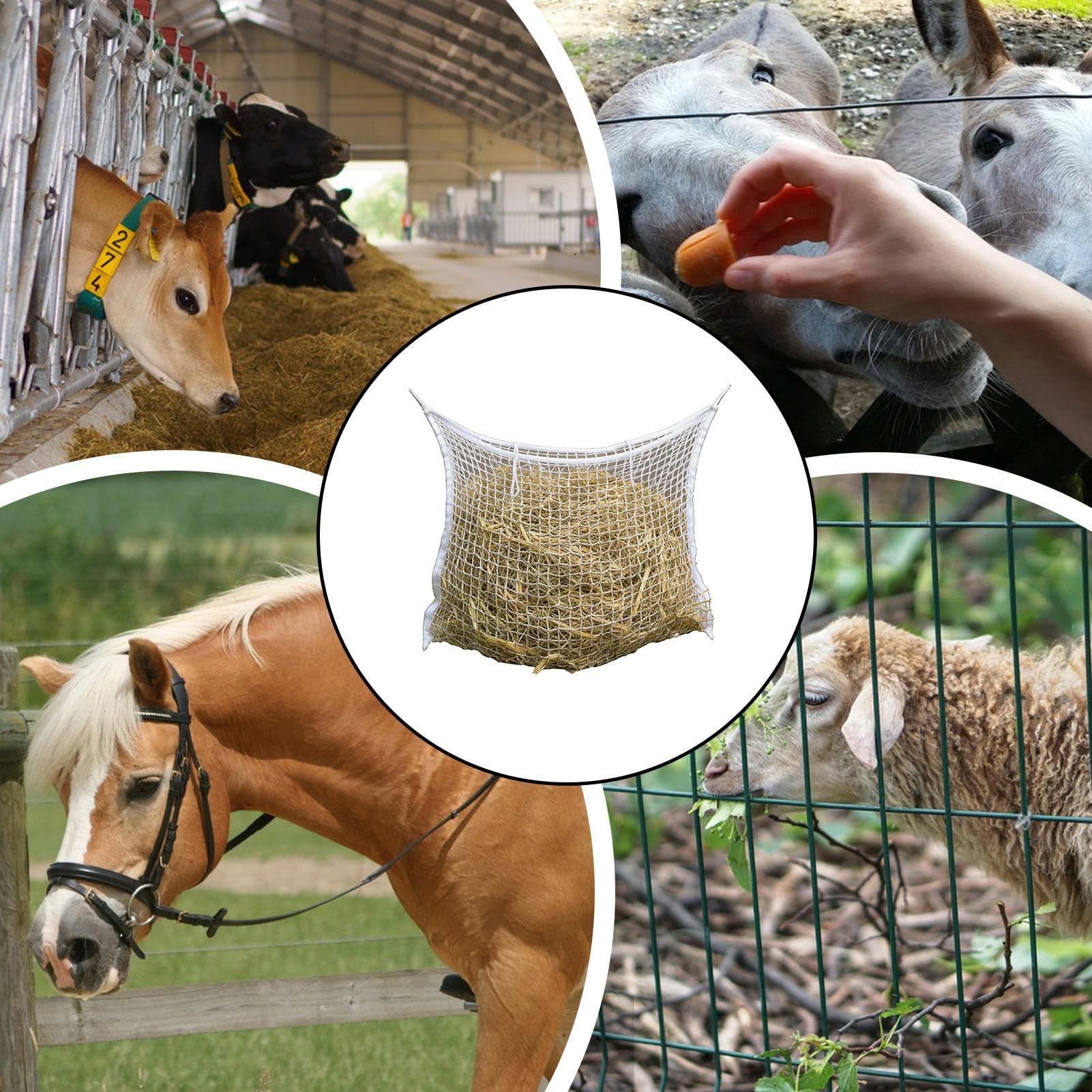 Borsa da fieno per cavallo Forniture di alimentazione anti- | Borsa dispenser di fieno per capra Per box recinzione rimorchio stalla pascolo rifugio capra cavallo