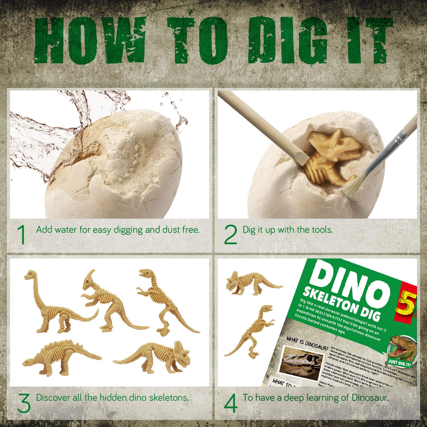 EDUMAN 5-in-1 Dinosaur Digging Kit for Kids Excavate 5 Dino Skeletons with Tools, STEM Archeology Toys for Boys and Girls Ages 6 7 8 9 10 11 12, Educational Fossil Excavation Kit Gift - Image 2