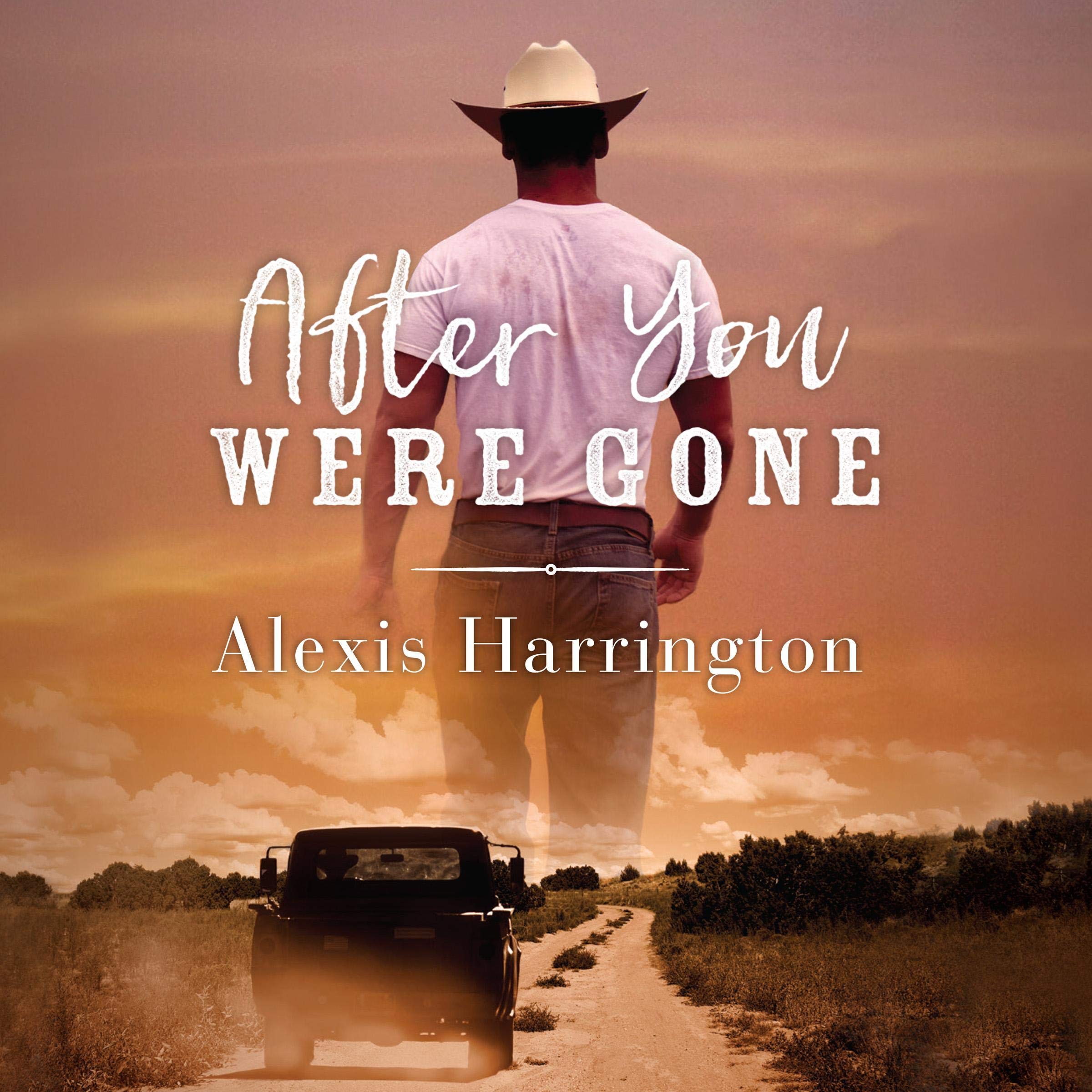 Cover art for After You Were Gone