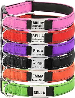 Hundehalsband, Reflektierend Halsband aus Nylon mit Weichem Neopren Polsterung einstellbar Hundehalsbänder Personalisiertes Hundehalsbänder (Halsband mit ID Tag) product image