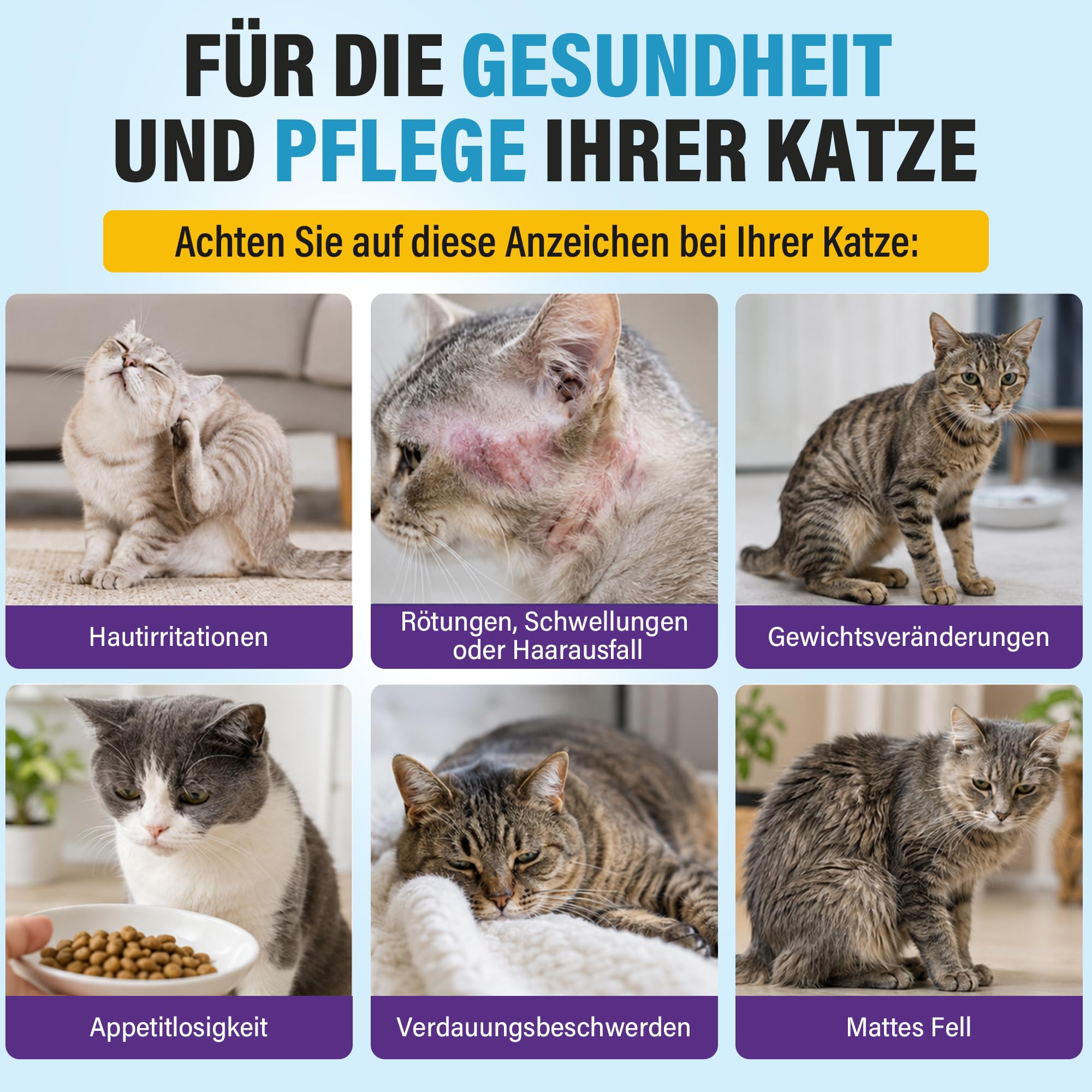 12 Pipetten Natürliche Pflegetropfen für Katzen und Kätzchen, Sanfte Kräuterextrakt-Formel, Sanfte Pflege für Empfindliche Haut