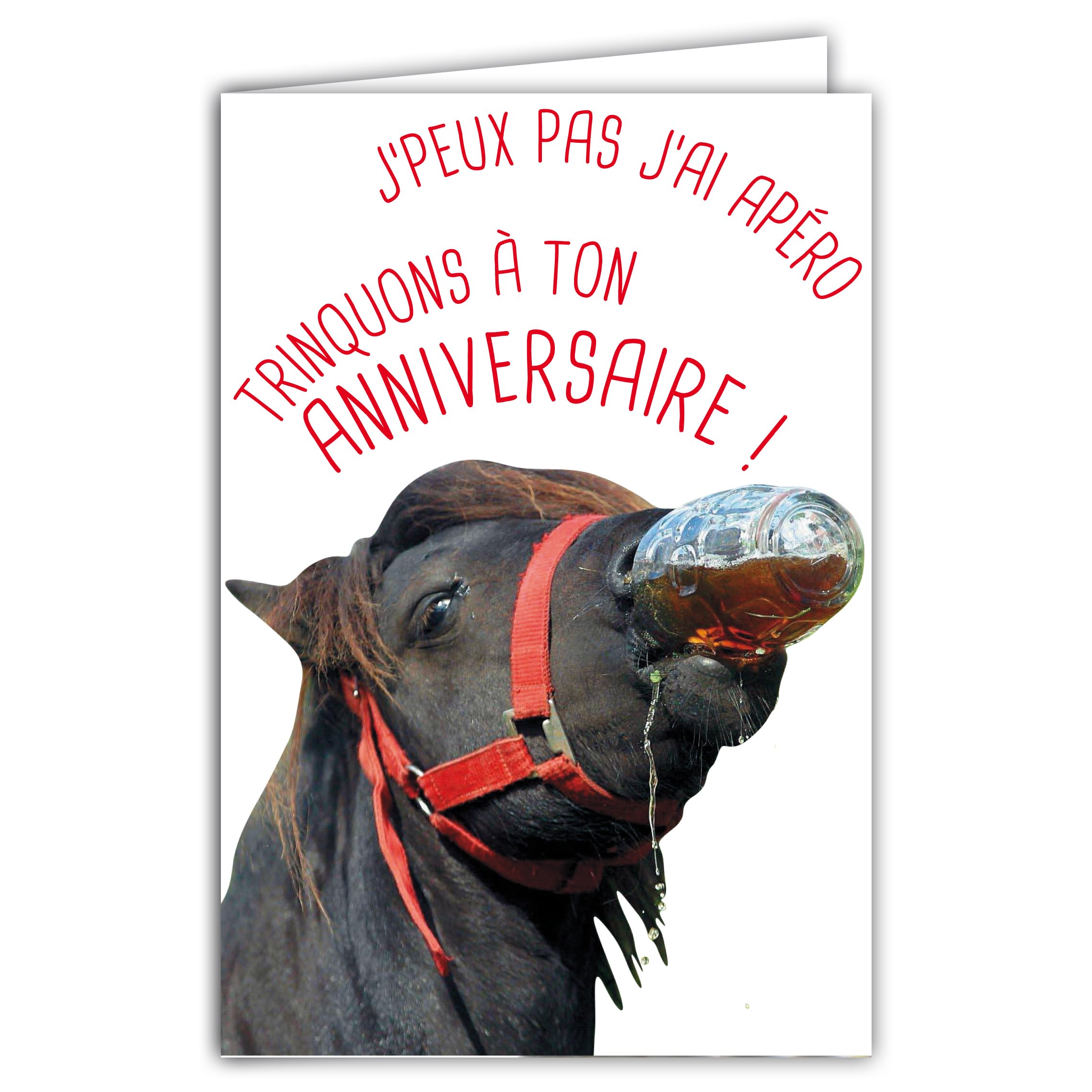 Funny Happy Birthday Card with Illustrated Envelope 17.5 x 12 cm Horse Pony Funny Toasting a Drink at the Aperitif Health - Creation Made in France 69-6210