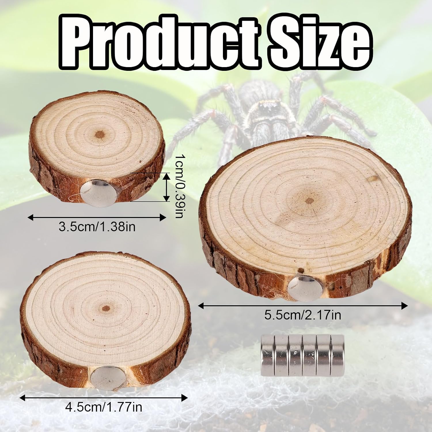 3pcs Jumping Spider Enclosure Ledges, Wooden Jumping Spider Ladder with Strong Magnets Pet Habitat Accessories image 2