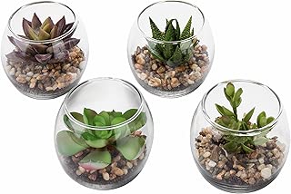 Set of 4 Decorative Mini Modern Design Clear Round Artificial Succulent Plant Glass Display Vases (Assortment 1) - coolthings.us