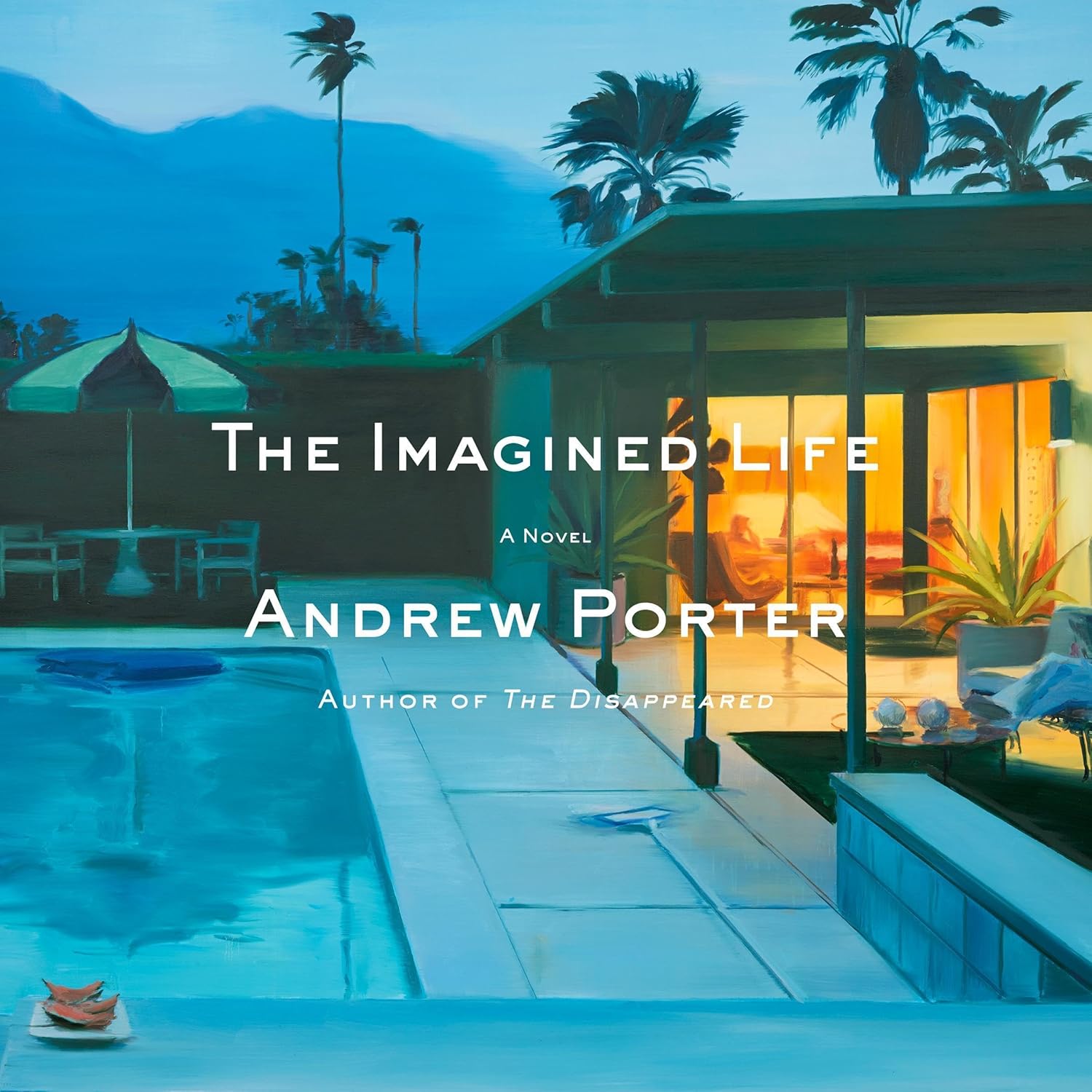 Andrew Porter The Imagined Life