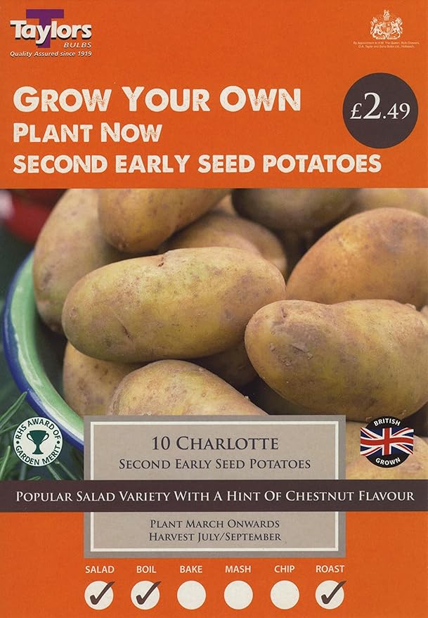 Potato Charlotte Seed potatoes Amazon.co.uk Garden