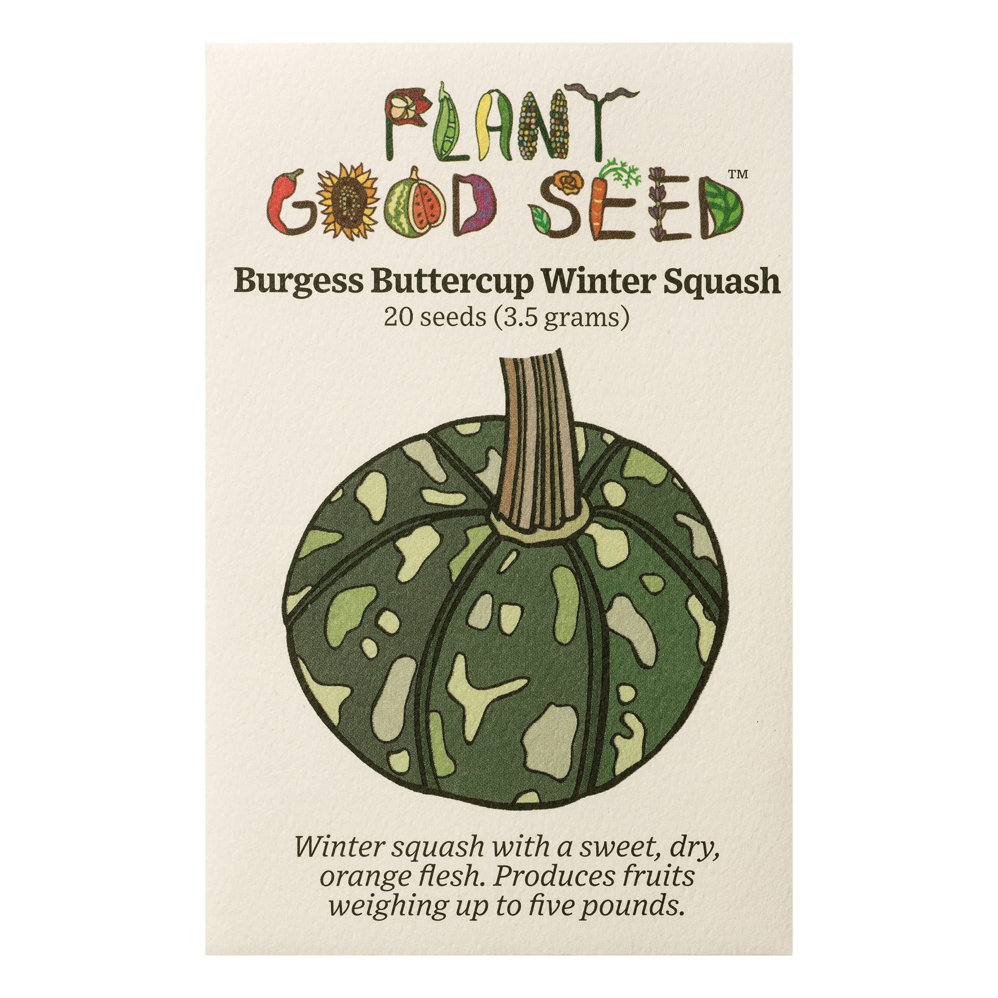 tiny potted plants Tiny Planter and Tiny Air Plants Pack – Pigment main image 1