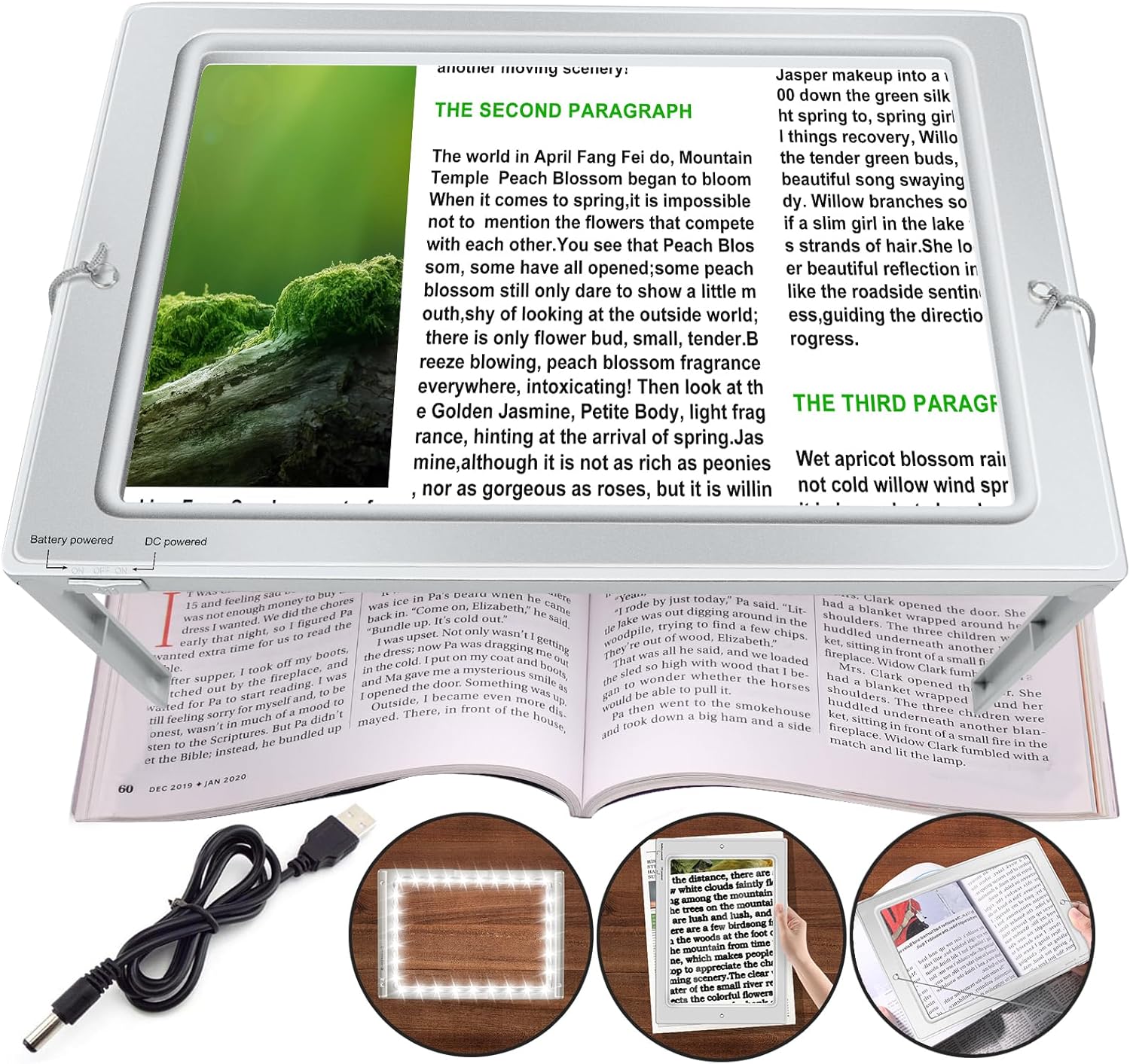 Magnifying Glass with Light and Stand, Silver 4X Page