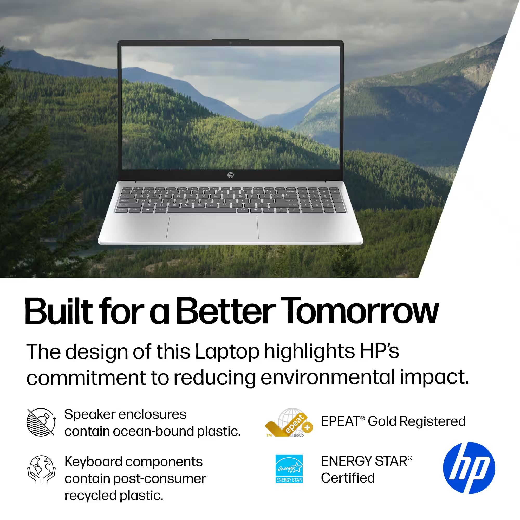 Amazon.com: HP 15.6