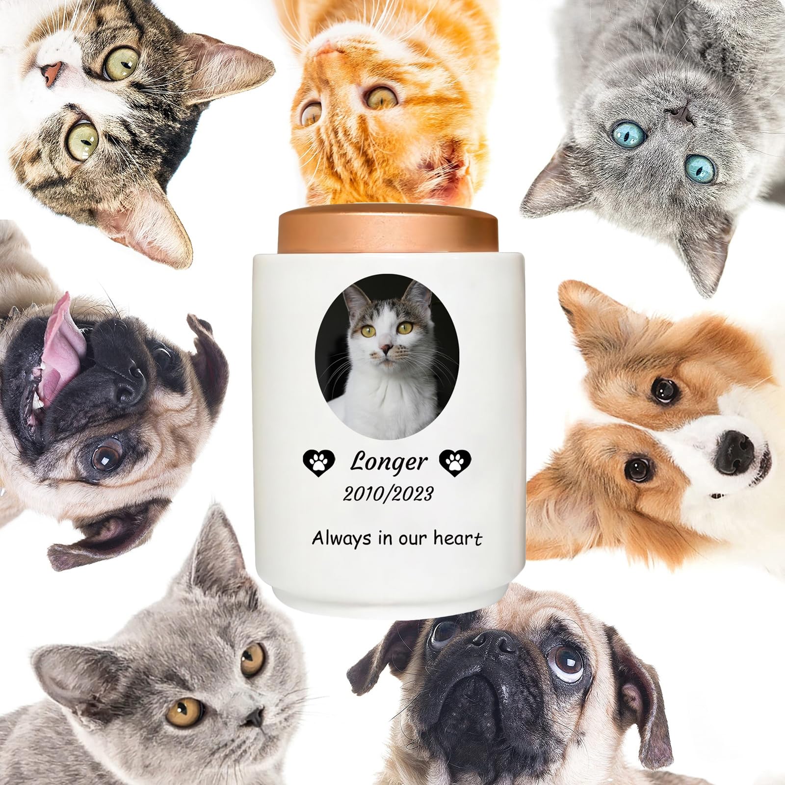 Urnas de Mascotas para Cenizas de Gatos - Urna de Gato Personalizada Urna de cerámica Urnas de cremación de Mascotas Cat Memorial, Blanca