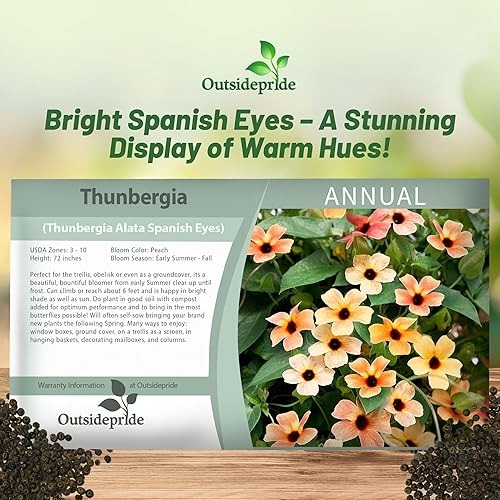 Miniatura 5 de Outsidepride 20 Semillas Anuales Melocotón Español Ojos Thunbergia Black Eyed Susan Semilla de flor de vid para plantar