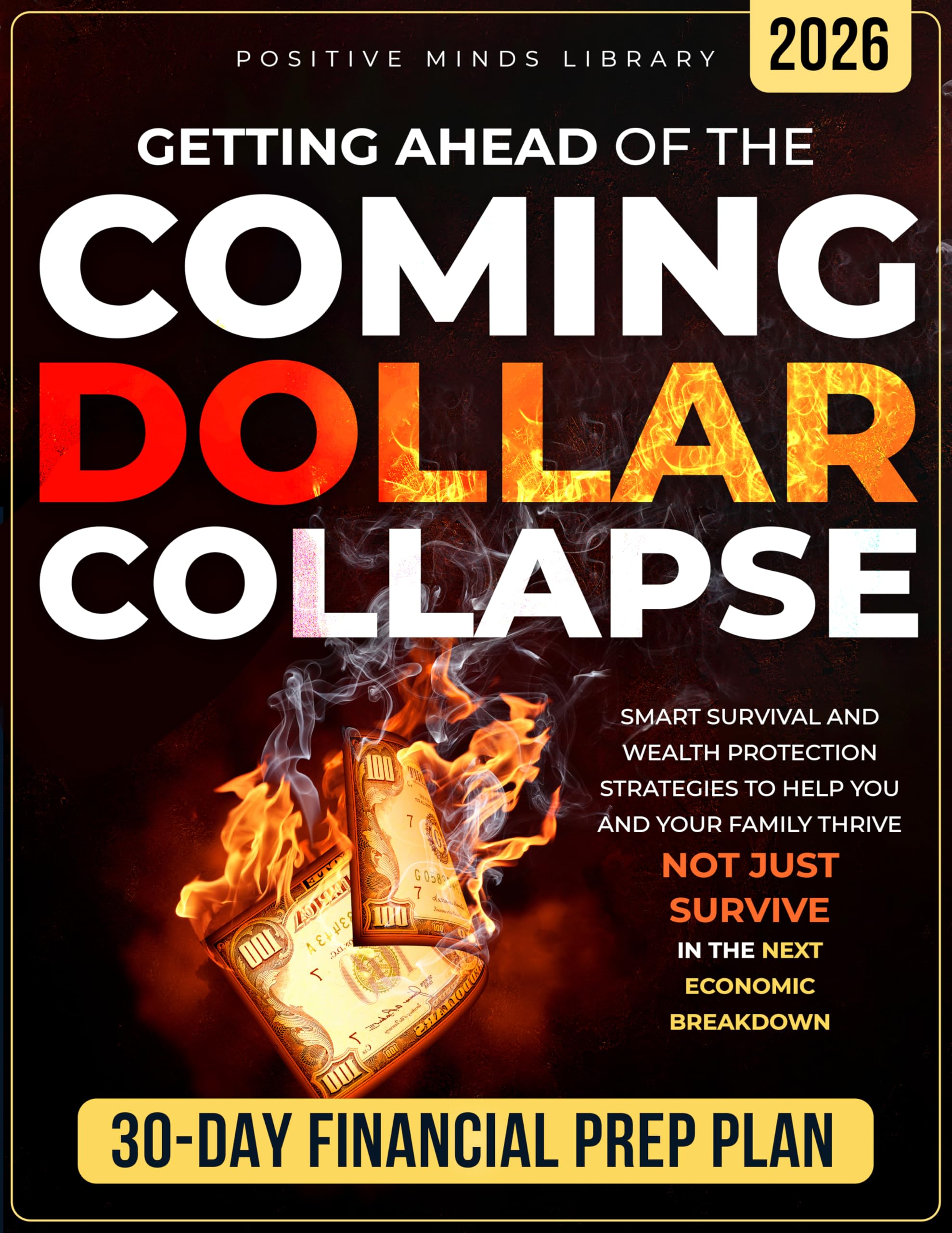 Getting Ahead of The Coming Dollar Collapse : Smart Survival and Wealth Protection Strategies to Help You and Your Family Thrive — Not Just Survive — in the Next Economic Breakdown