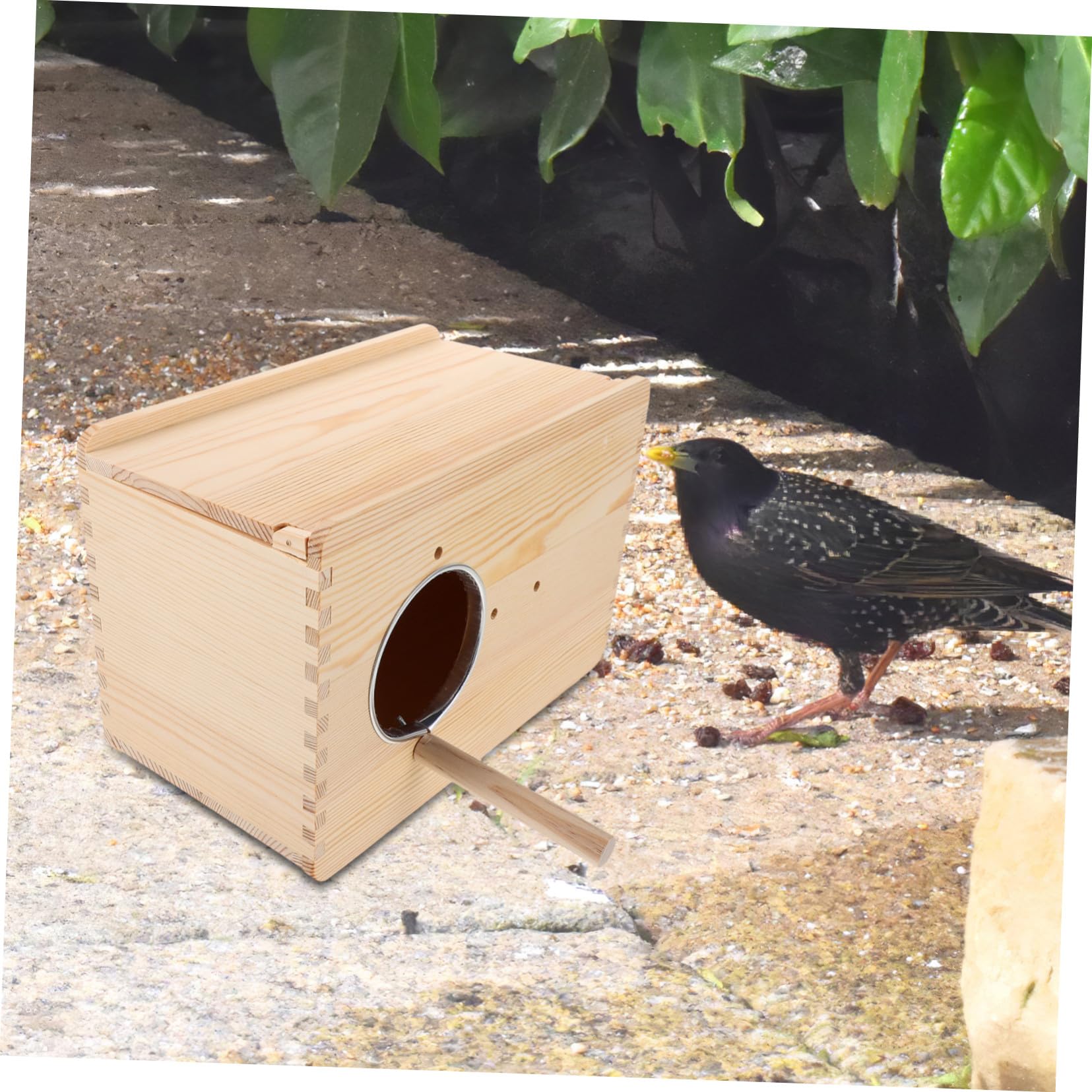 Toddmomy Nido in Legno per Cocorite e Pappagallini Scatola da Allevamento Sicura e Stabile con Liscio per Lovebirds e Calopsitte