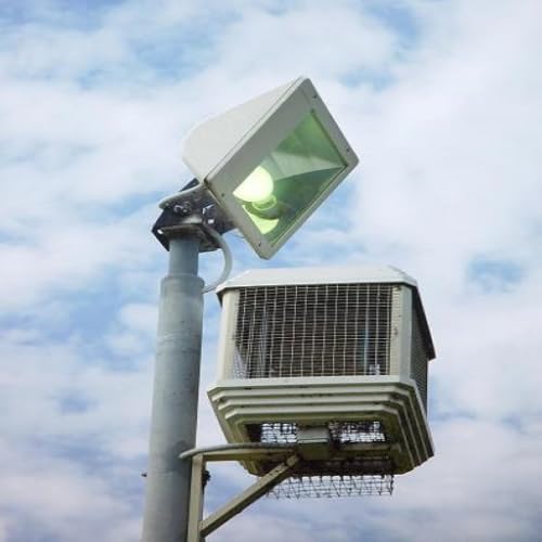 Bug Zapper Sound