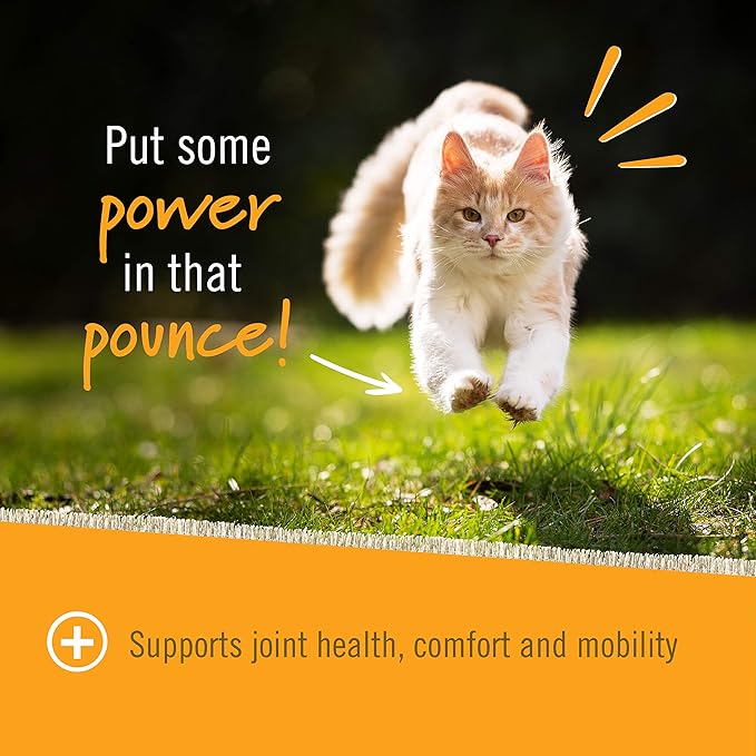The supplement comes in a convenient chew form, making it easy to administer to your cat. The delicious taste ensures that your cat will eagerly eat the chew, making it a hassle-free way to provide joint support. By incorporating this supplement into your cat's daily routine, you can help improve their quality of life by keeping their joints healthy and mobile for years to come.