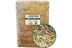 Nature's Premier: Dust-Free Hay Decoration Bail (Large)