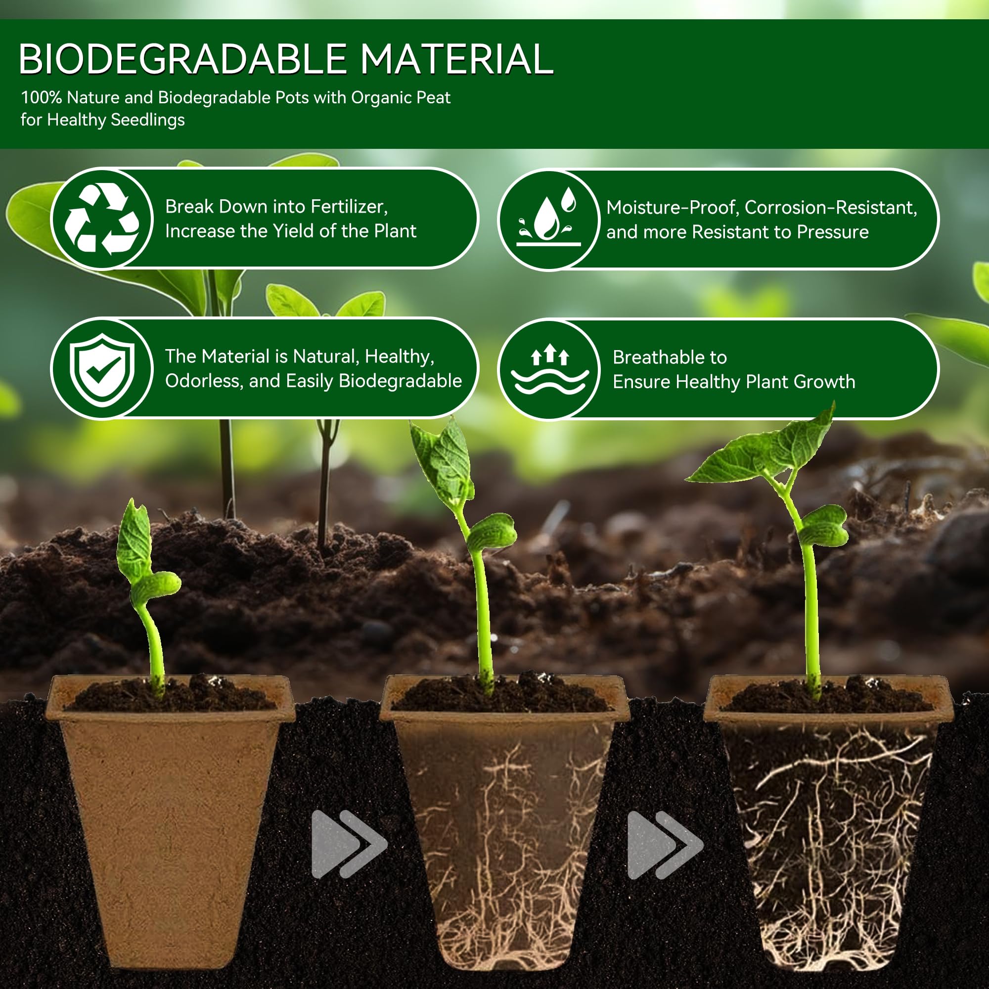 Pots Biodégradables,100 Pièces 8 CM Pot de Semis de Plante,avec 100 étiquettes de Plantes +2Pcs Outils de Repiquage,Peti Pots pour Plantation Graine Fleurs