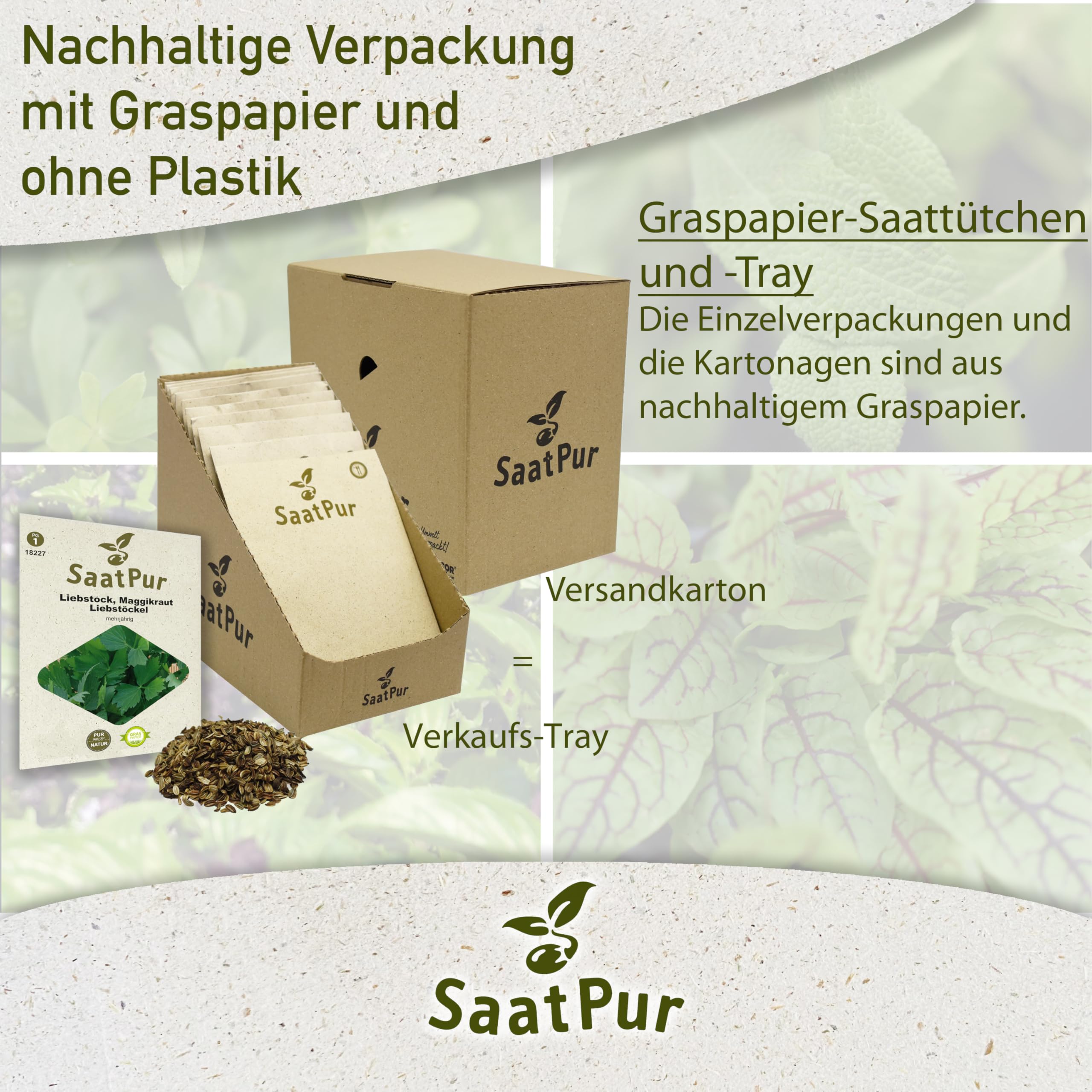 SaatPur Liebstöckel Samen, Maggikraut samenfestes Samen Saatgut - Kleines Tray mit 25 Portionstüten für je ca. 80 Pflanzen Kräutersamen