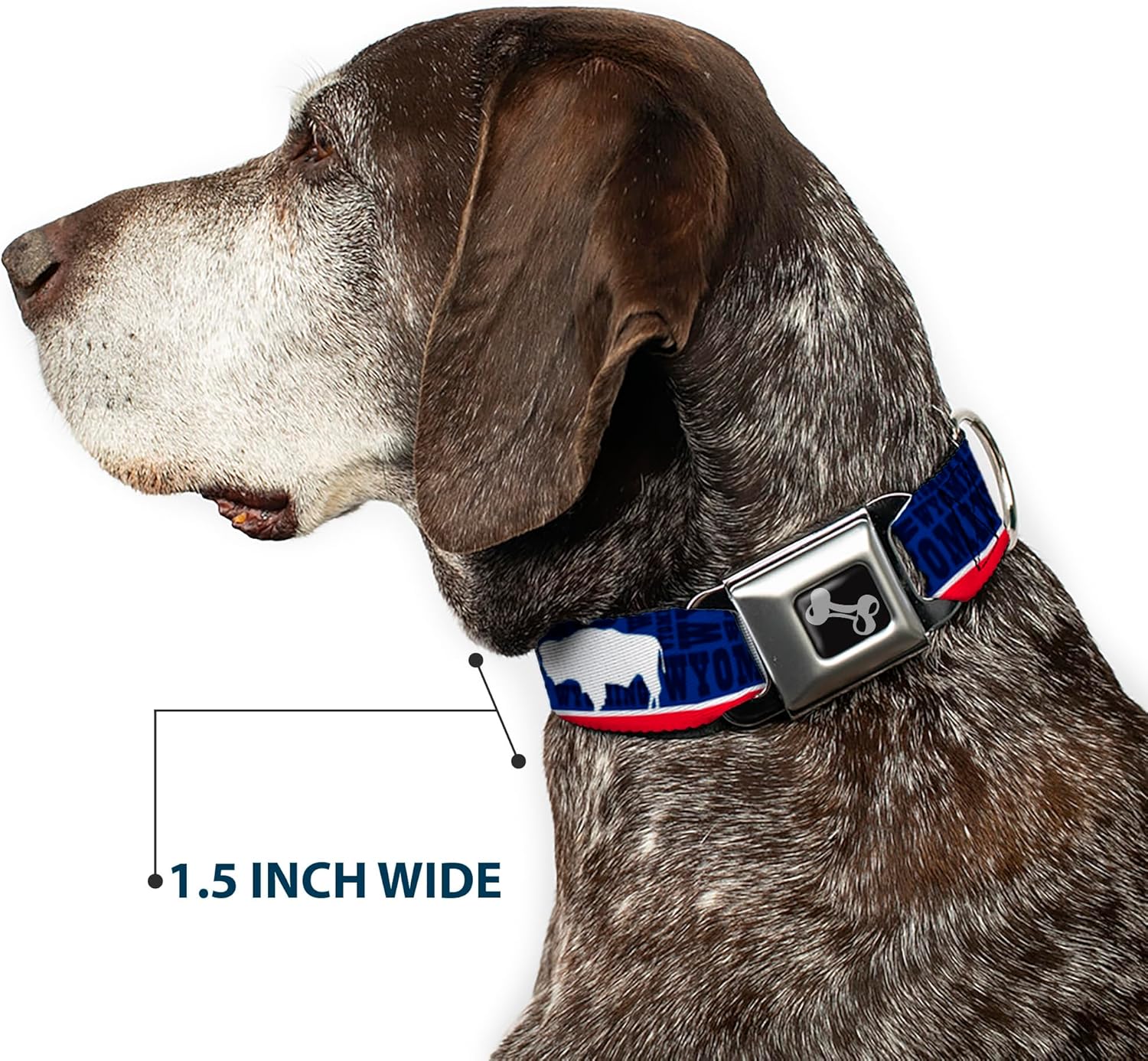 Dog Collar Seatbelt Buckle Wyoming Flags Wyoming Typography 16 to 23 Inches 1.5 Inch Wide
