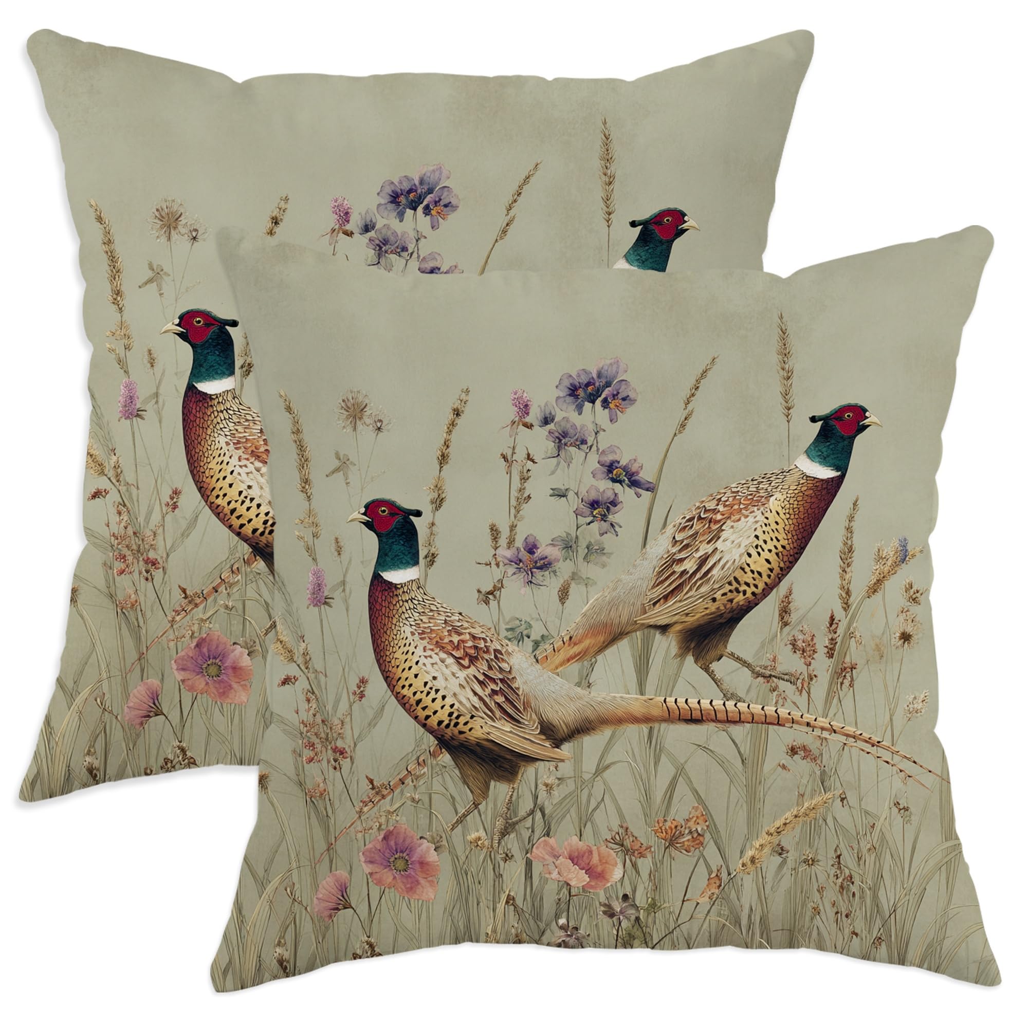 Birds of Nature Throw Pillow Covers Set of 2, Earthy Ornamental Pheasant Decor Cushion Cases, Spring Decorative Square Farmhouse Accents for Home Sofa Bed Couch 28x28 Inch