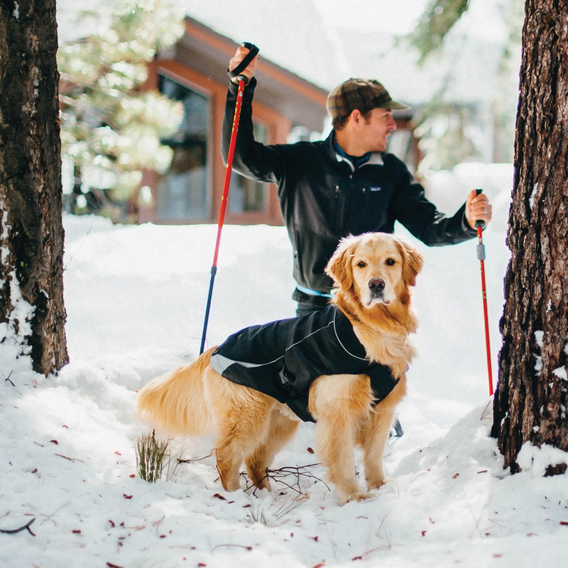 Kurgo North Country, Abrigo para Perros, Chaqueta de Invierno para Perros, Impermeable, Reflectante - Negro, M