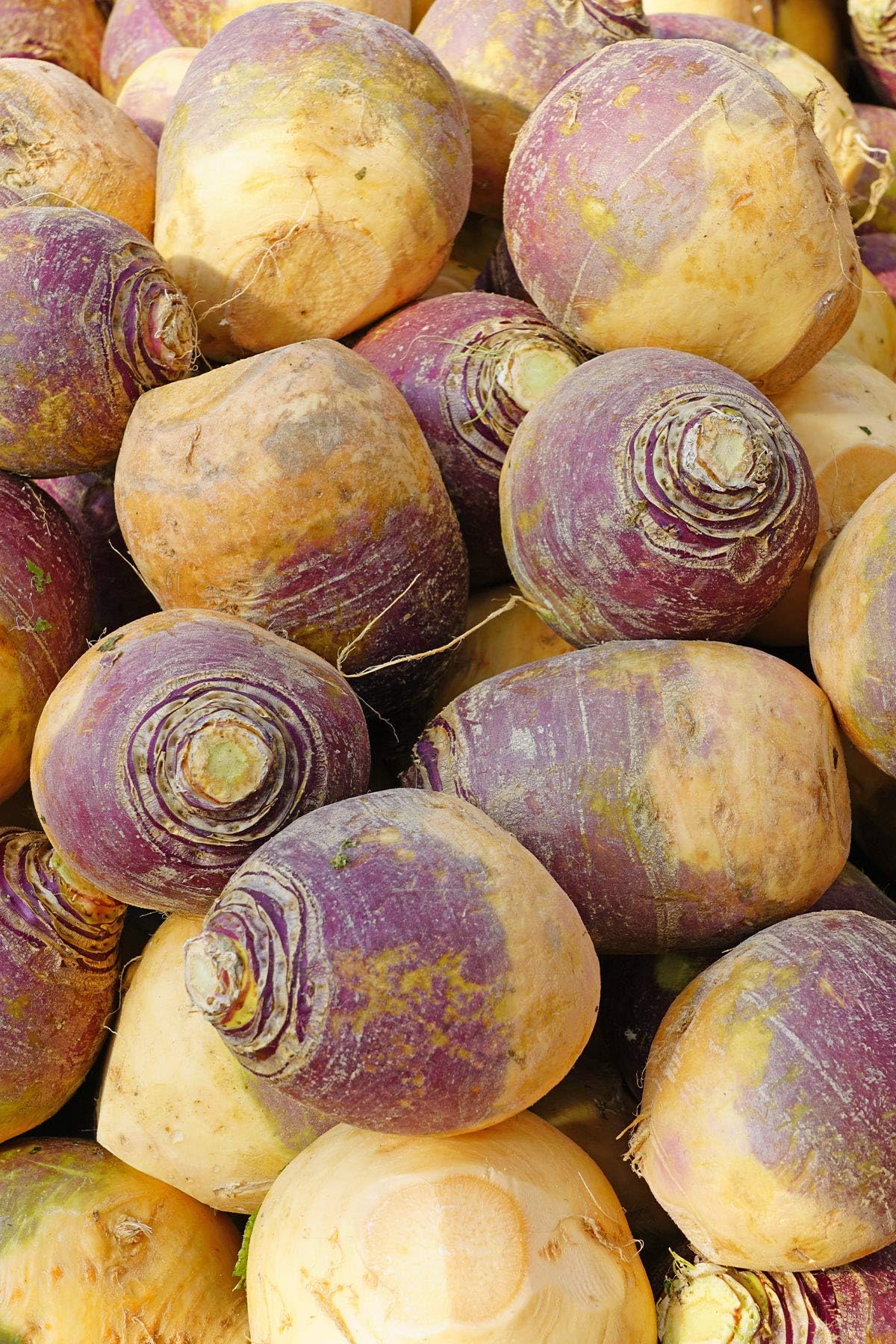 BioBox Swede Vegetable (300g)