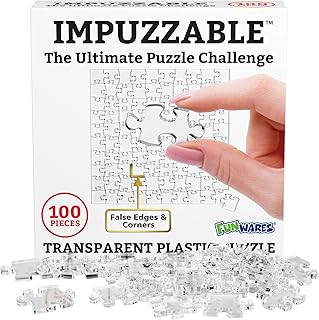 Funwares Clear Acrylic Jigsaw Brain Teaser