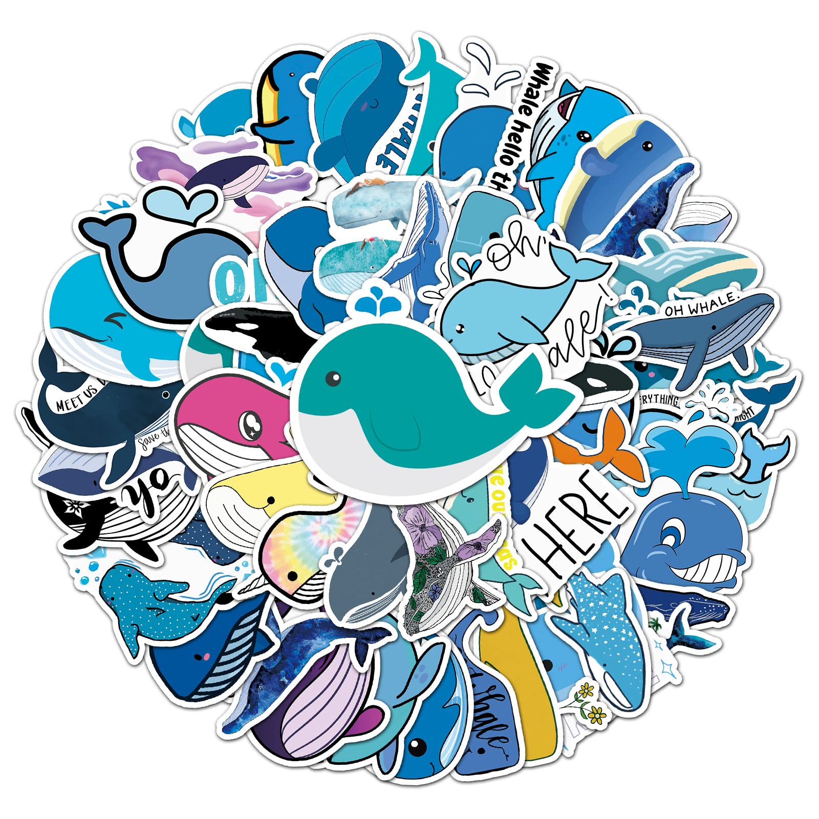 Amazon.com: 可愛鯨魚貼紙貼紙可愛卡通鯨魚防水乙烯基貼紙50  件組適用於筆記型電腦旅行保護套筆記型電腦車剪貼簿水瓶自行車塗鴉貼花、兒童/青少年禮物: