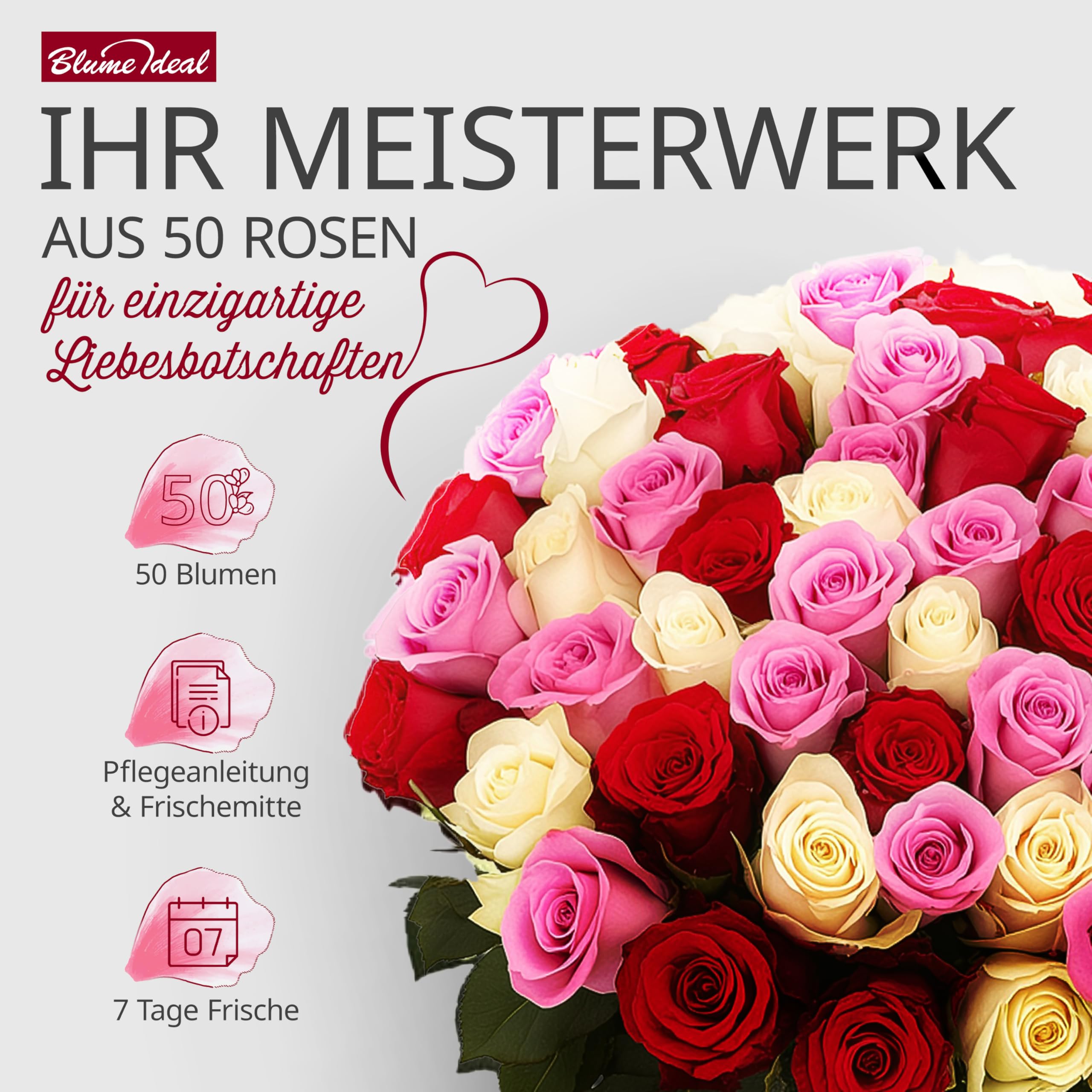 Blume Ideal Rosenstrauß - 40 Rosen - Rot - Ø 40–50 cm - Echte premium Blumen für Hochzeit & Deko - 7 Tage Frischegarantie - in verschiedenen Farben und Mengen