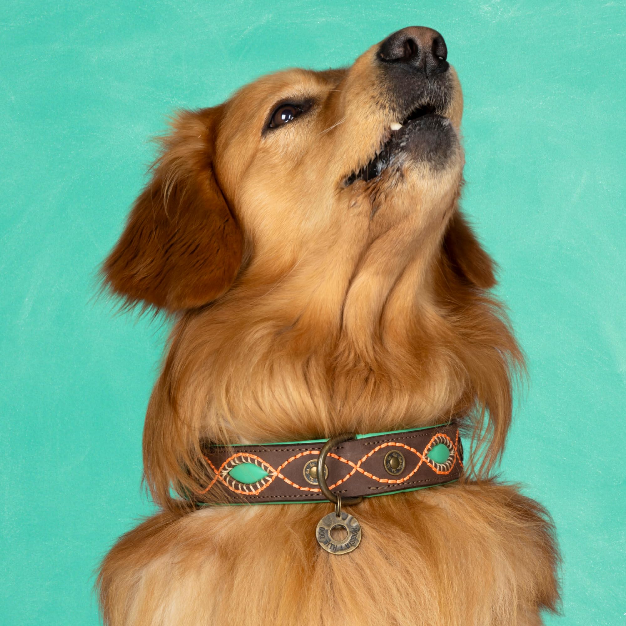 Dog With A Mission DWAM Joplin-Halsband, Braun/XL (47–57 x 4 cm)